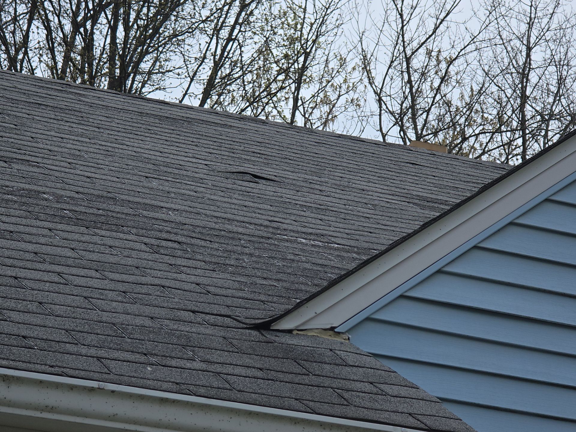 Judi C: Atlas Pinnacle, Color, Coastal Granite, Drip Edge, Color, Black by Eagle Eye Roofing