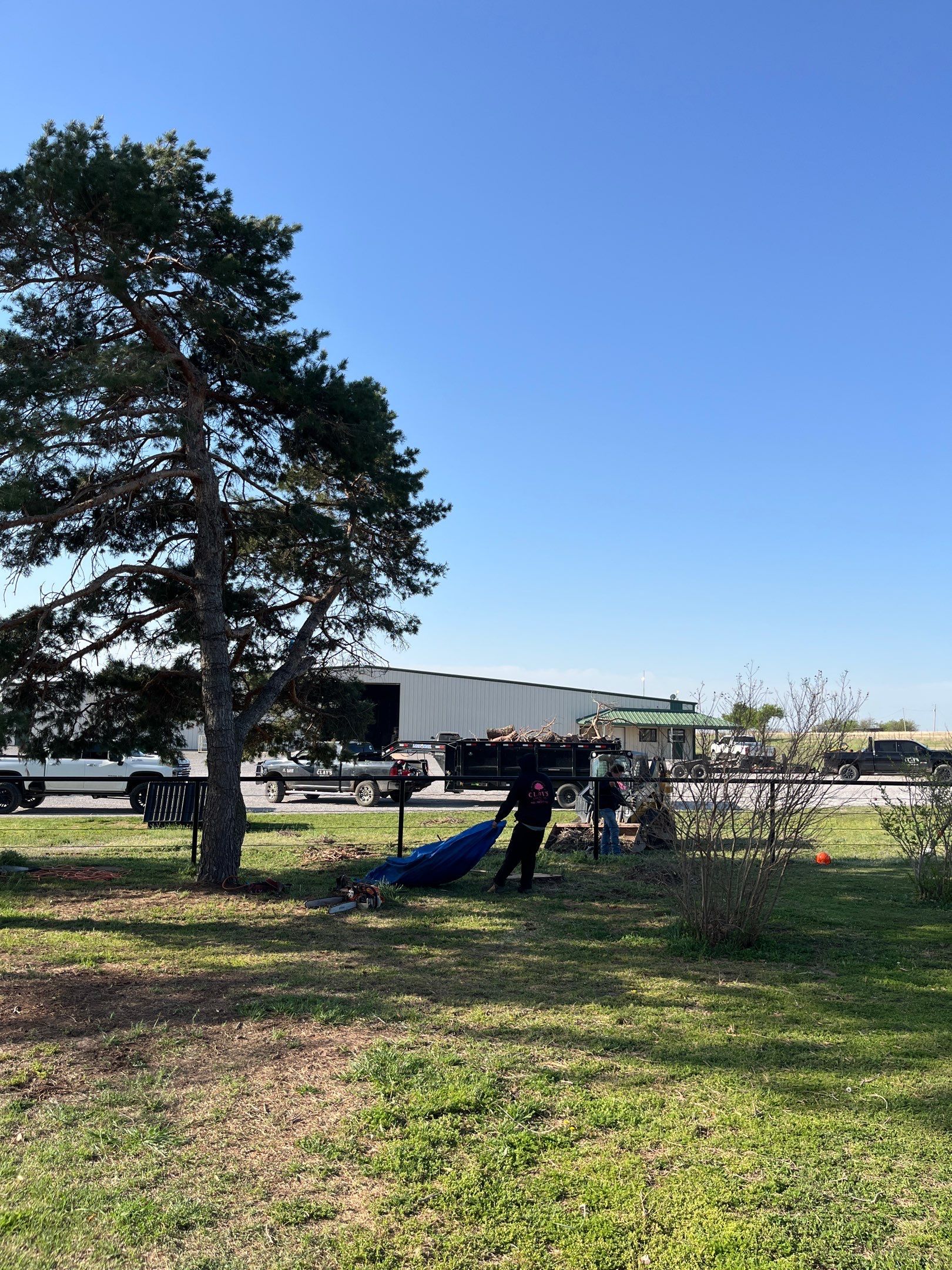 Tree Removal by Clays Services Inc