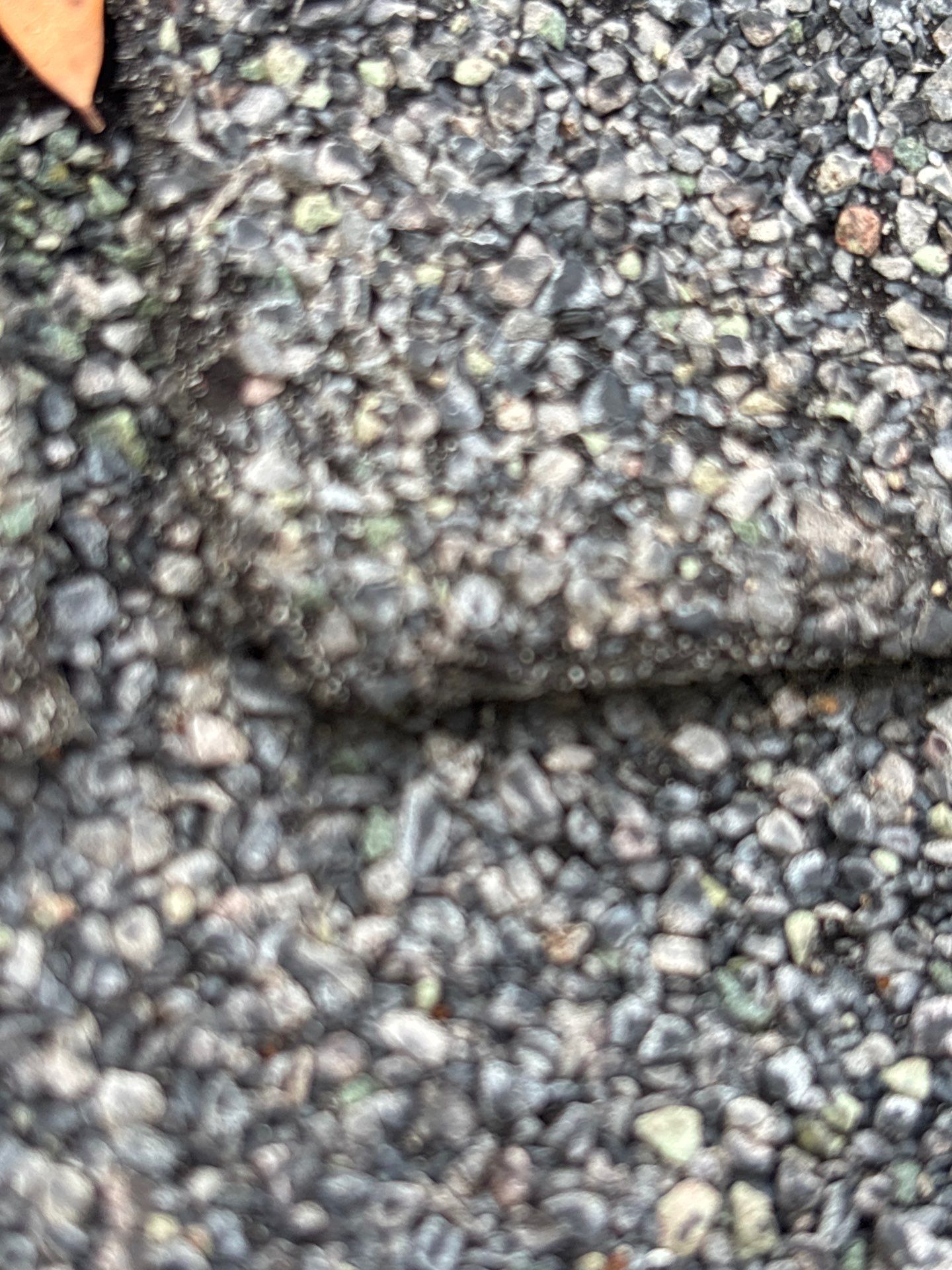 Project in Richmond by Roof Maxx of Midlothian