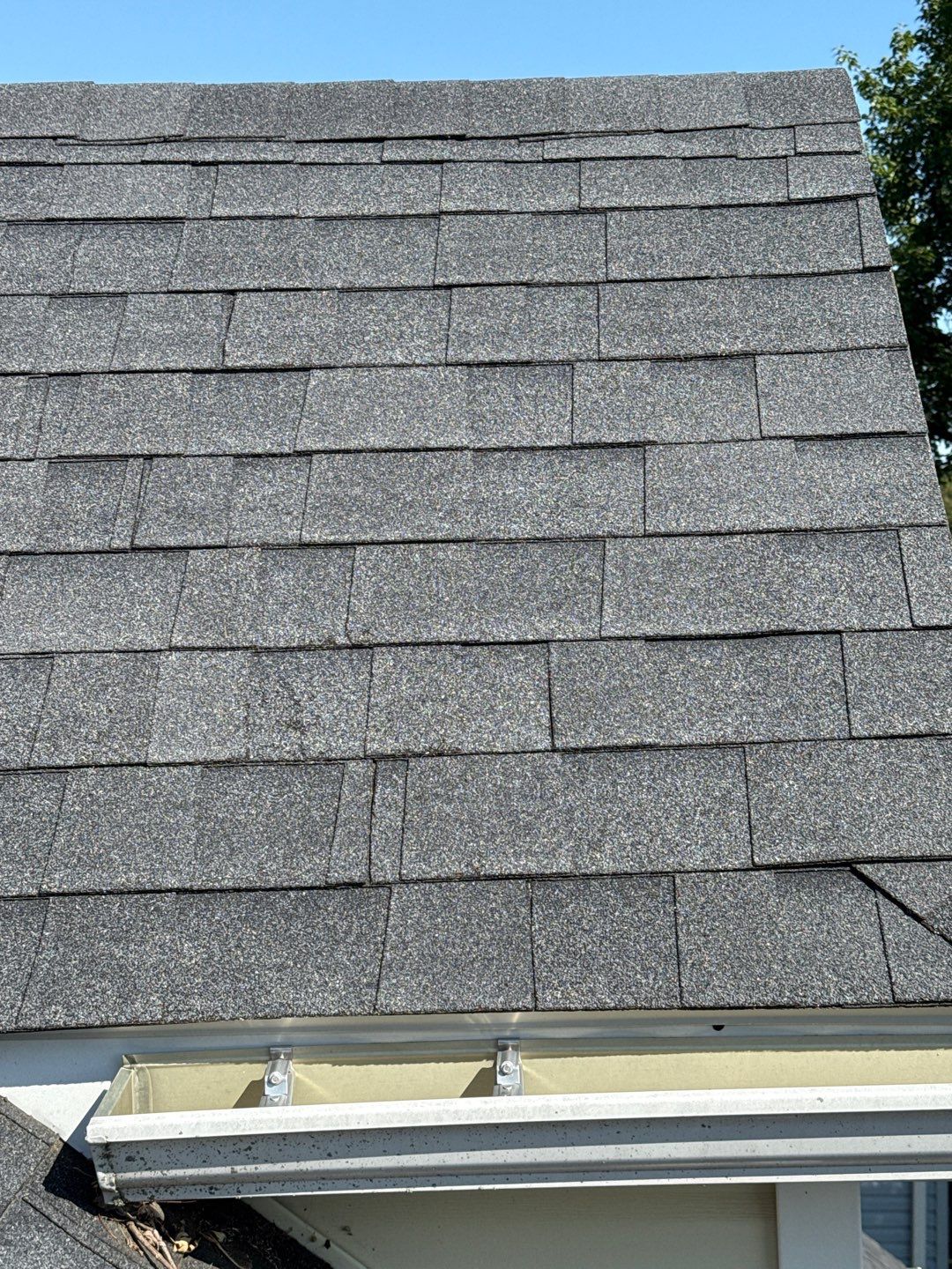 Jonathon Salmons Hail & Tree Damage Report by Constructive Project Management