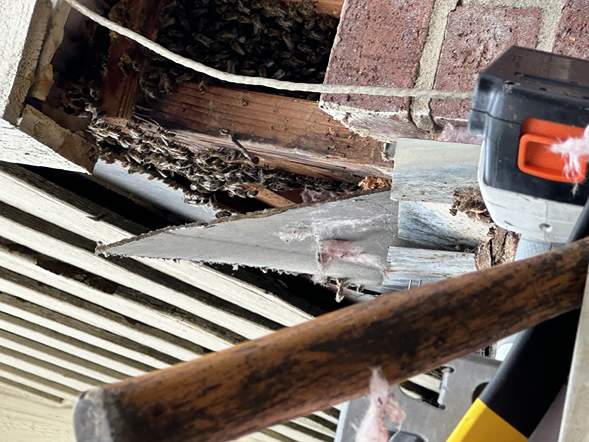 Between Floors by Rockwall Honey Bee Company