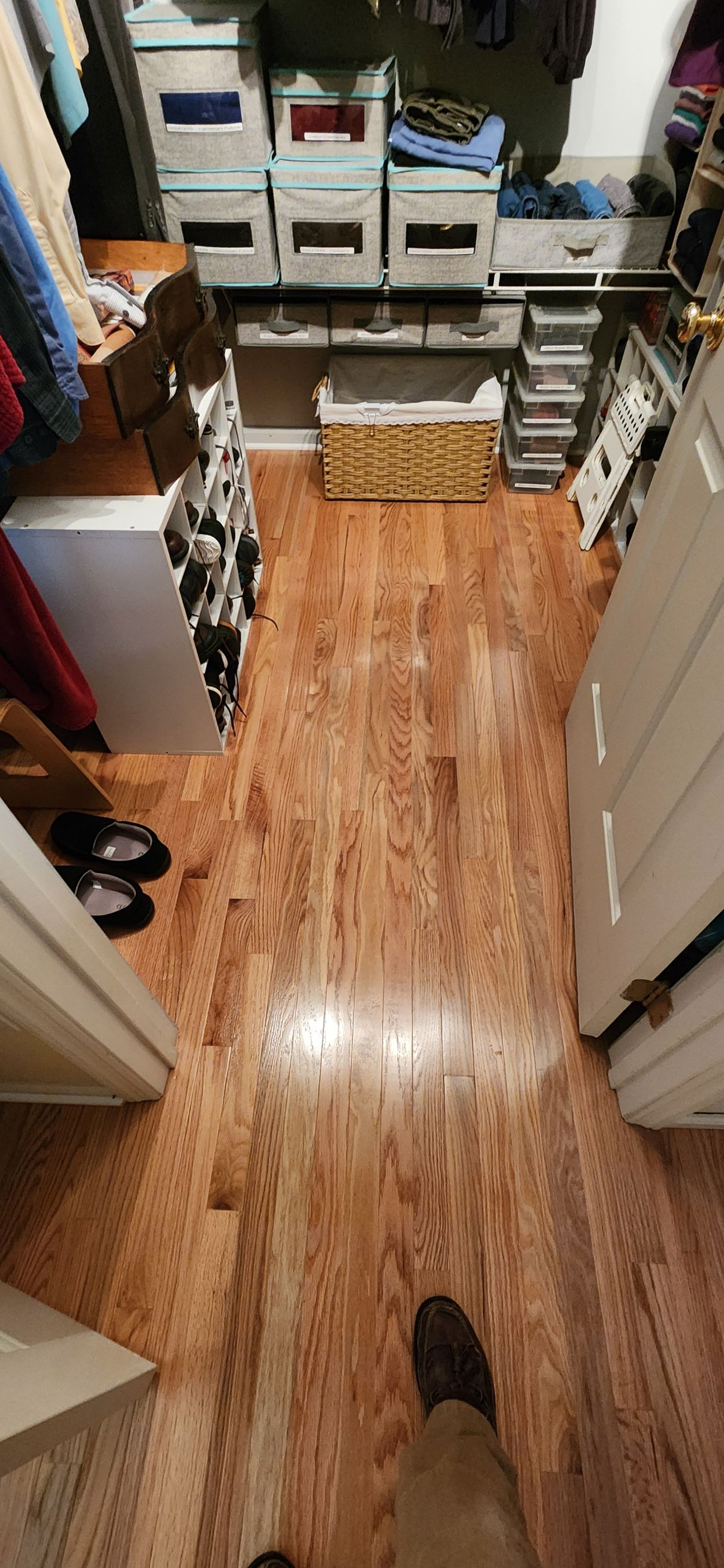 Prefinished 2 1/4 Red Oak Install w/ Carpet Removal by Footprints Floors Morristown