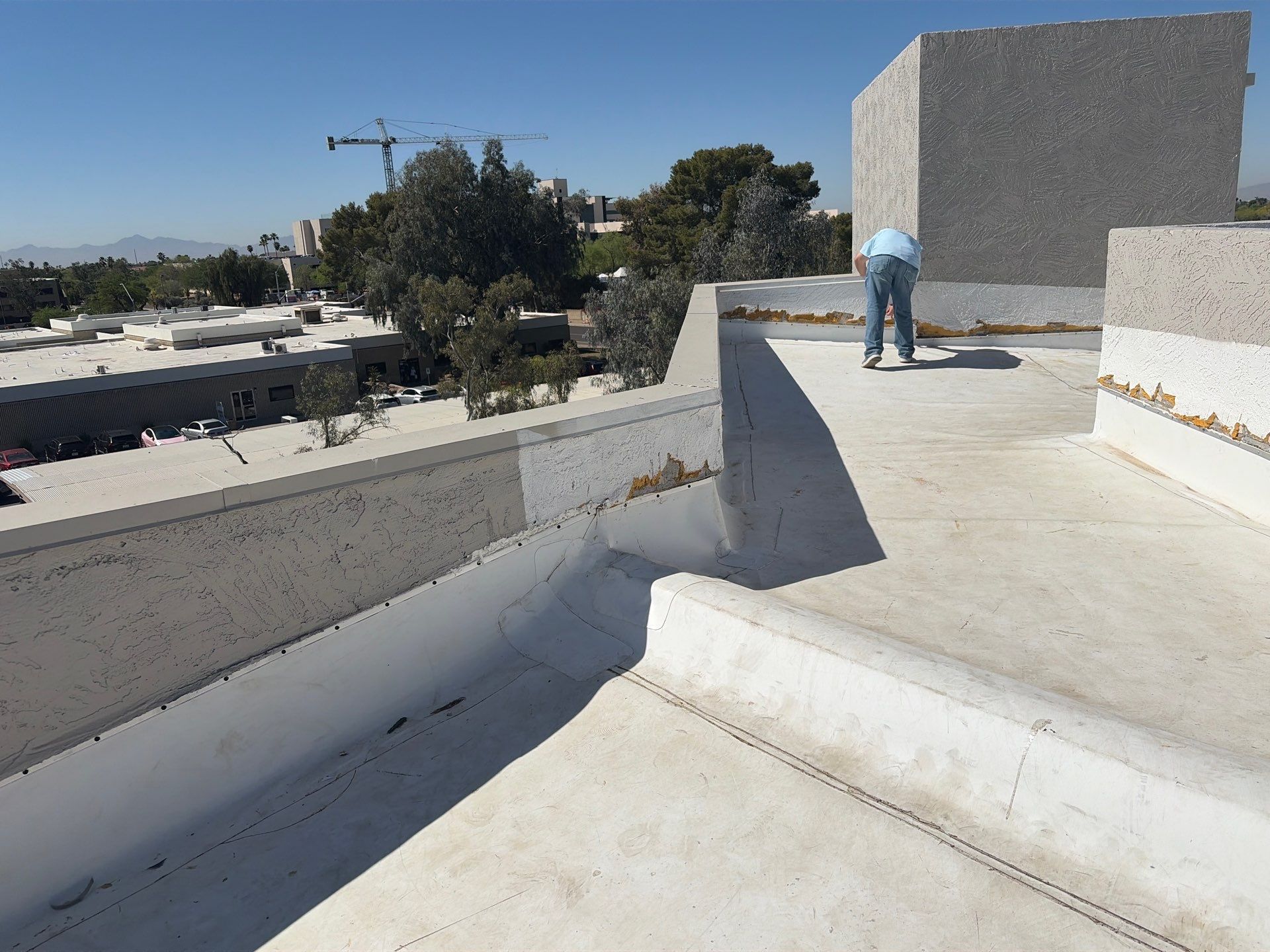 Project in Glendale by Crush Development Services LLC