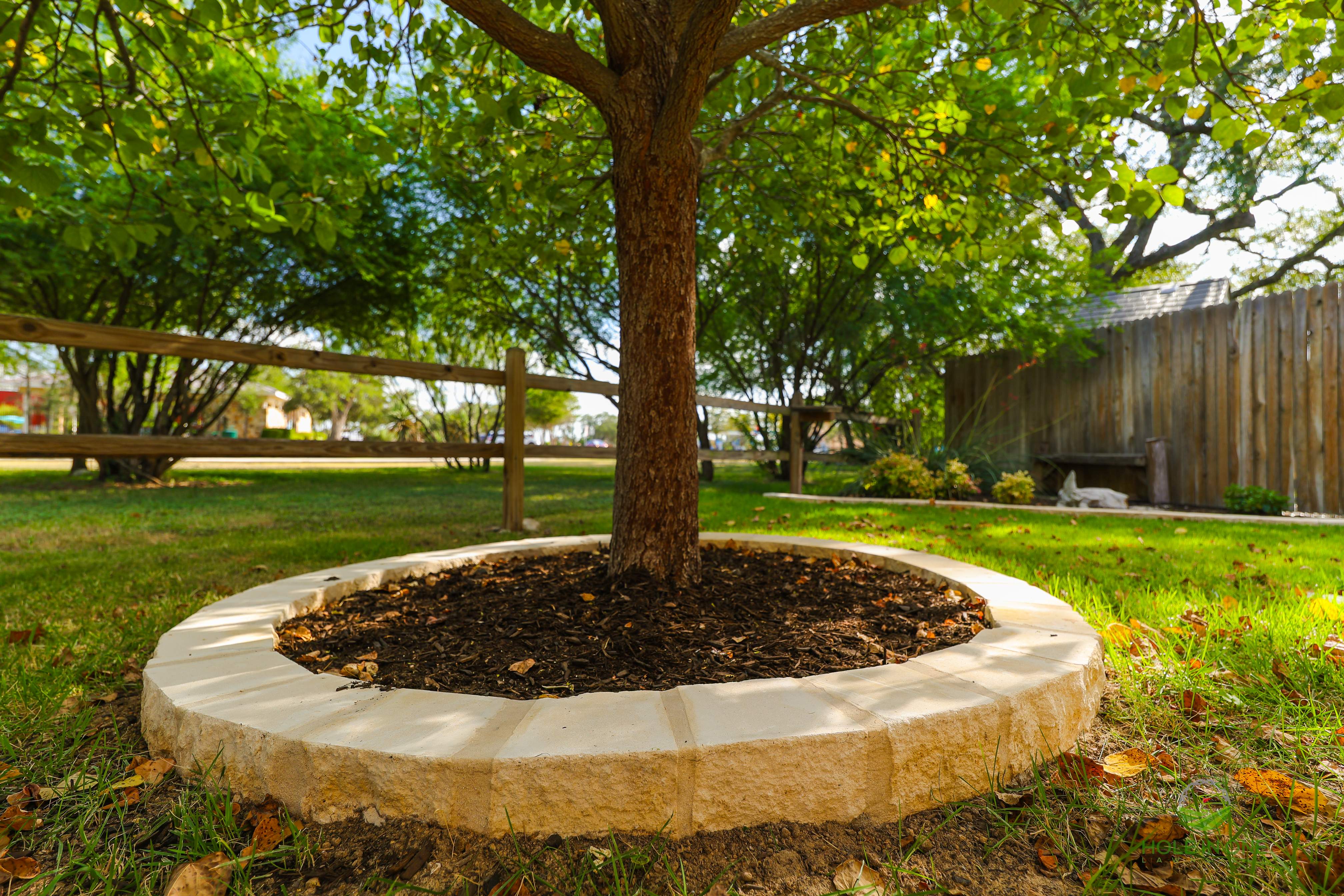 Wortham Oak, San Antonio TX by Hole In One Lawns, LLC