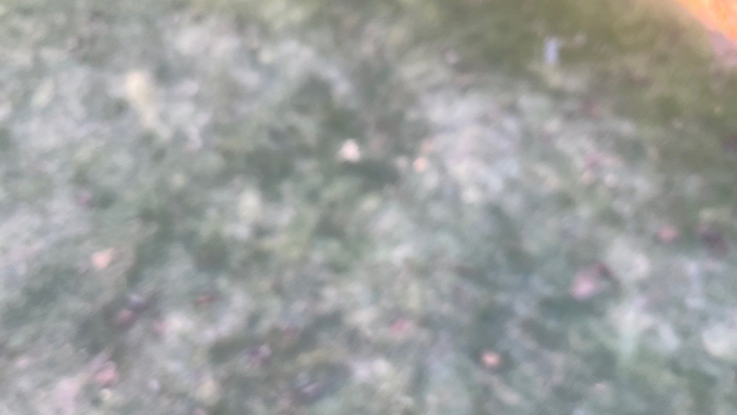 Gutter Installation using White gutters by A Plus Exterior