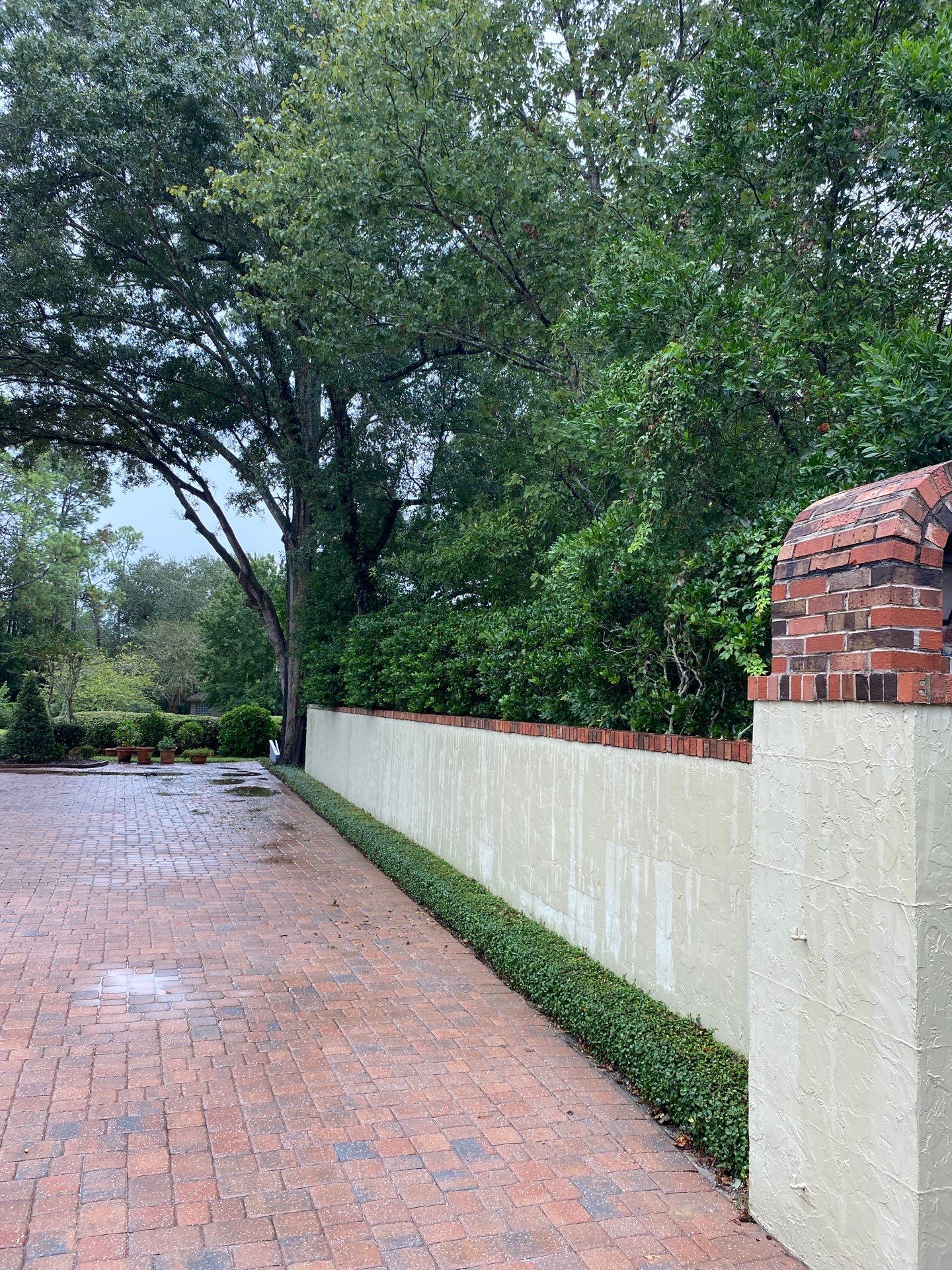 Deerwood Resident | Shrub Work by ProGreen Services