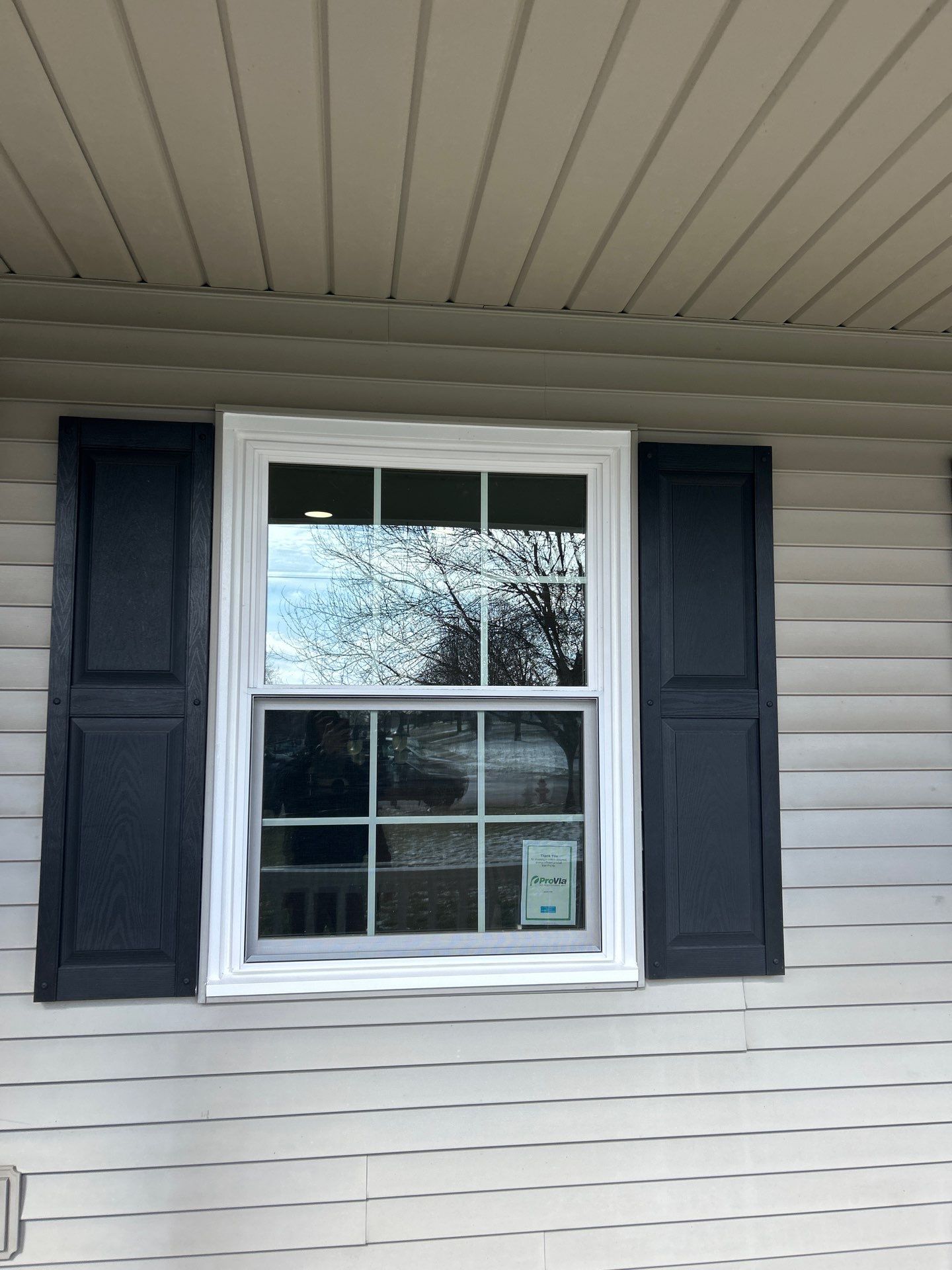 Windows in Louisville by Ohio State Windows