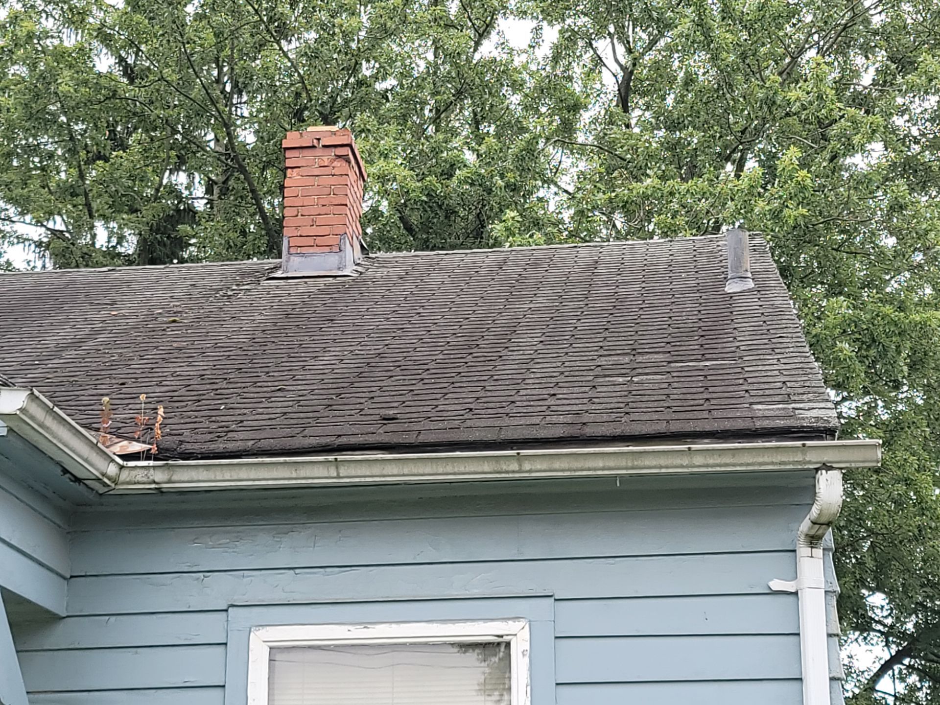 Shaun H: Atlas Pinnacle, Color, Black Shadow, Drip Edge, Color, Black by Eagle Eye Roofing