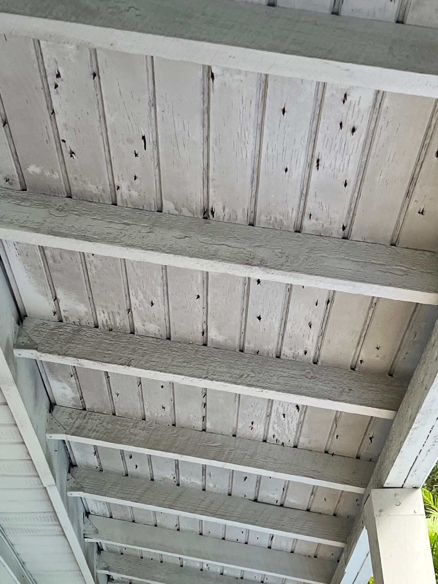 Project in St. Petersburg 33703 by Mitchell Roofing Company LLC
