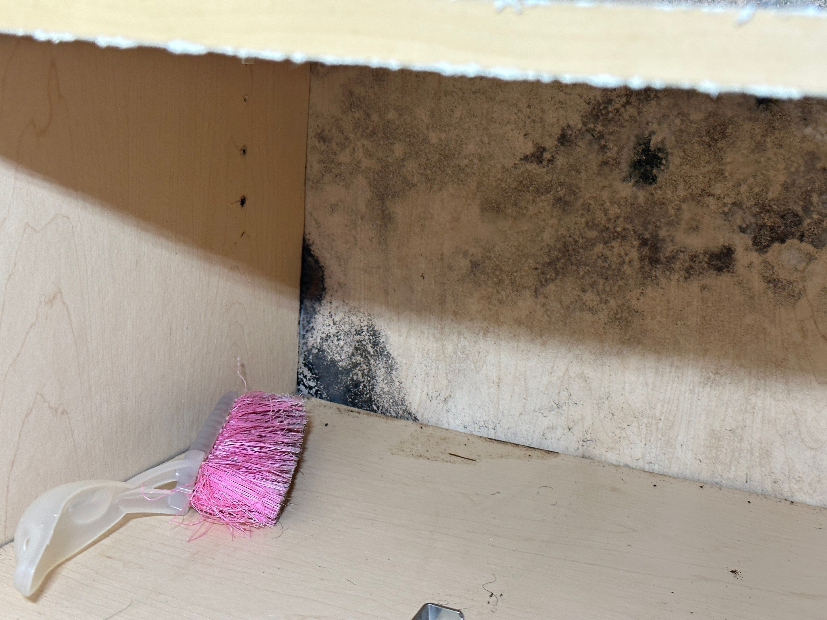 Water Damage Claim in Miramar by FLAPA & KeyStone