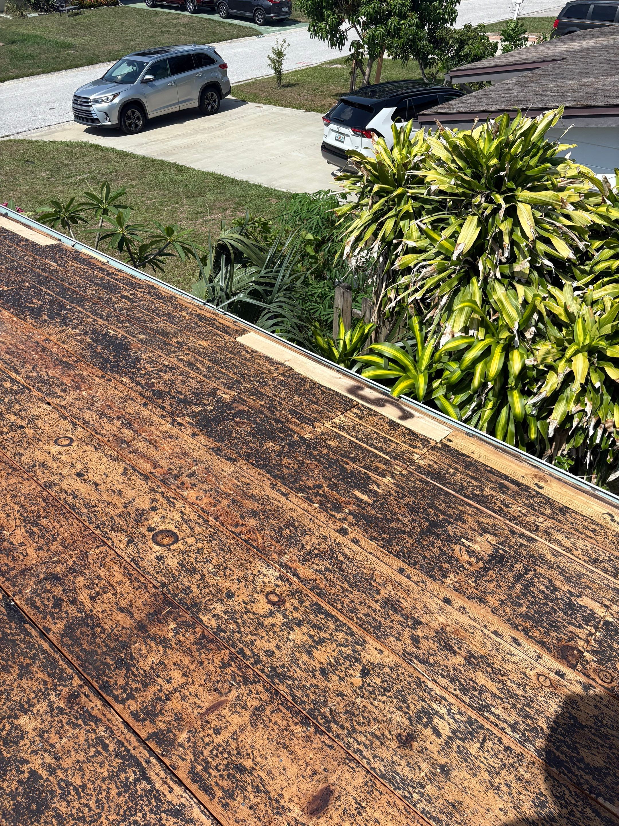 Project in St. Petersburg 33713 by Mitchell Roofing Company LLC 