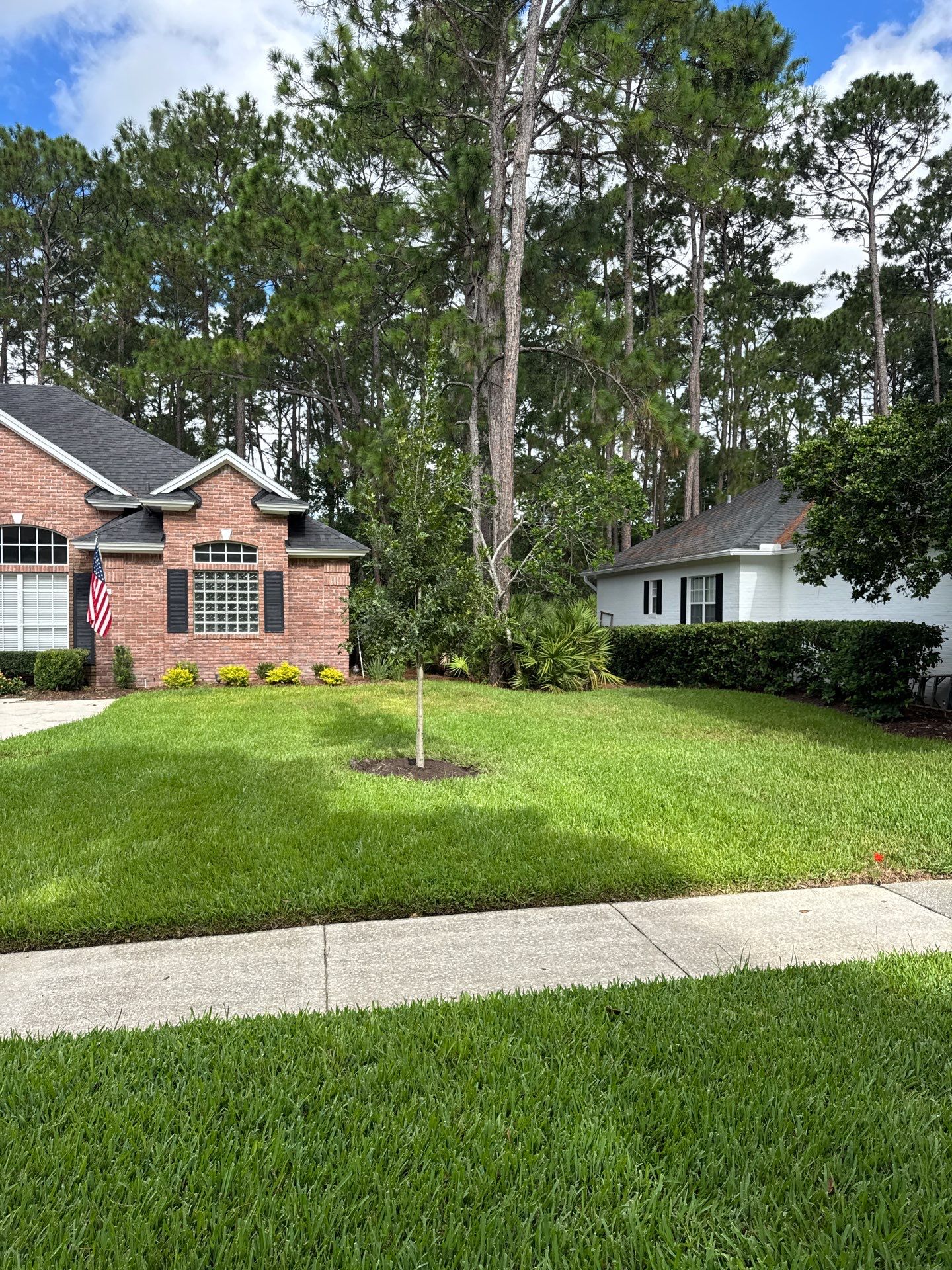 Residential | Shrub Trimming by ProGreen Services