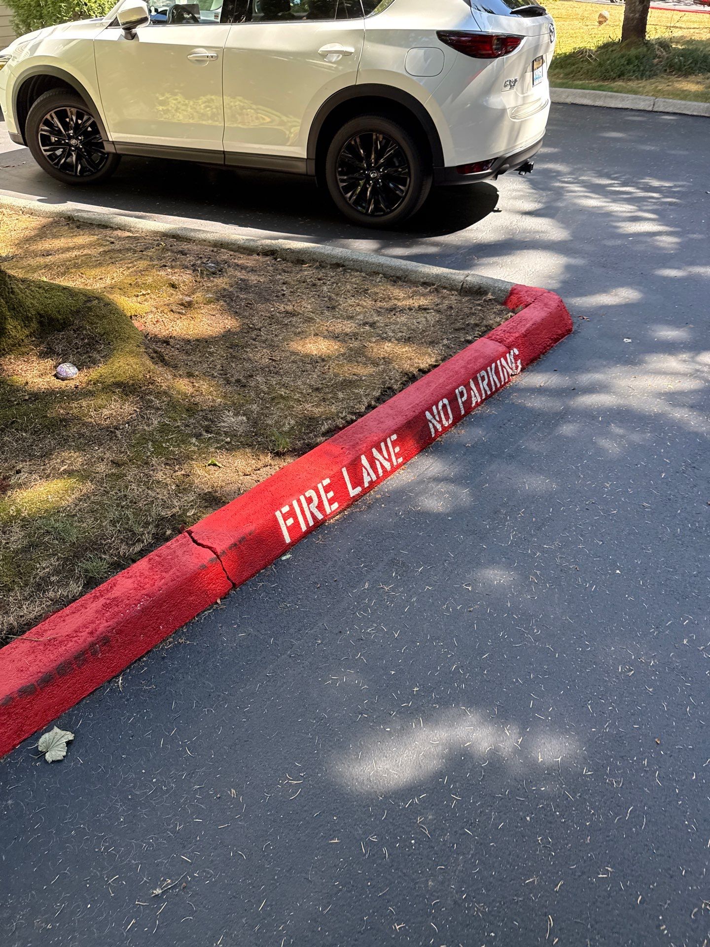 Curb Repaint | Seattle  by Jireh Asphalt & Concrete Inc 