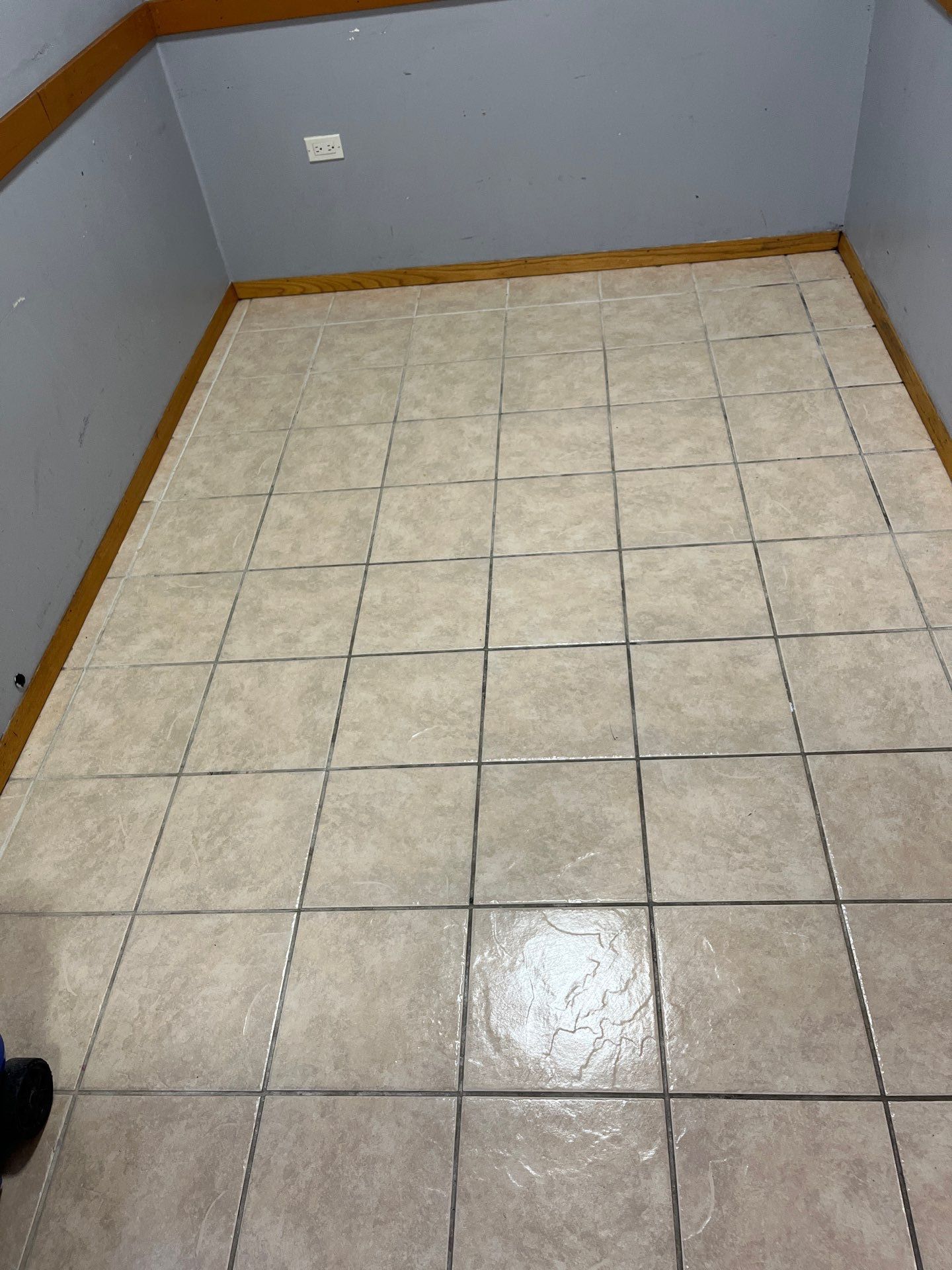 Project in Chicago by Xo Clean Services 