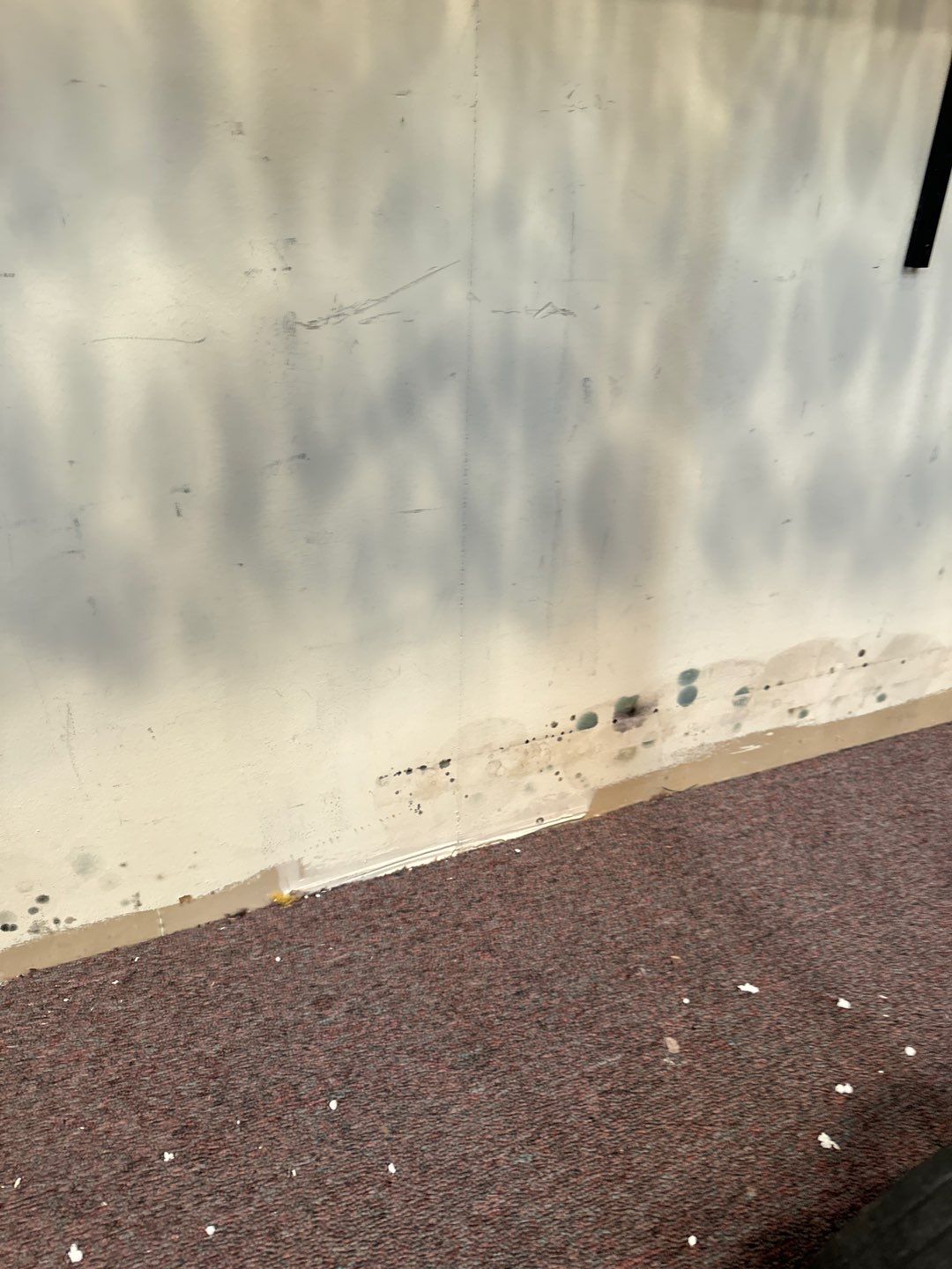 Sprinkler Failure at Antique Shop by Chicagoland Water Medics
