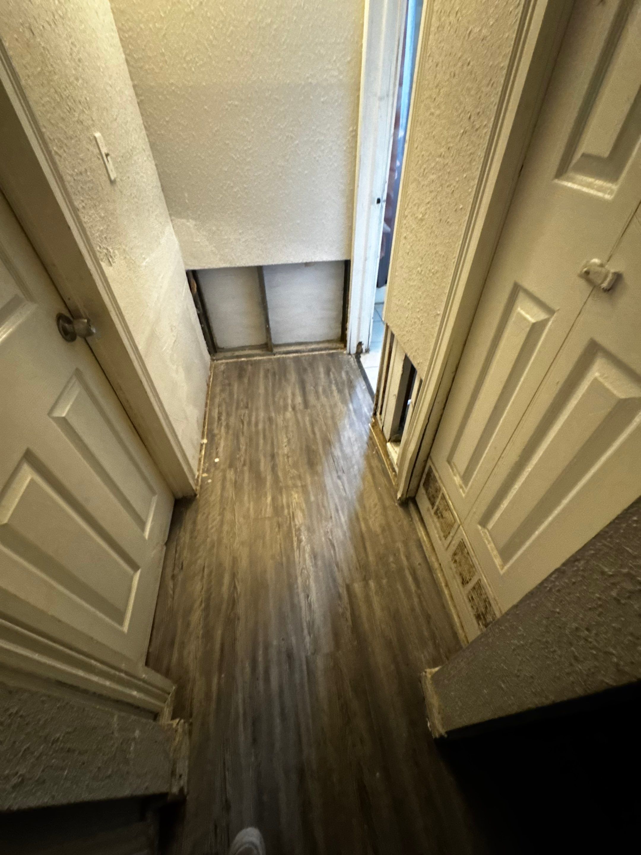 Mold Damage Project in Denver by Accountable Home Services