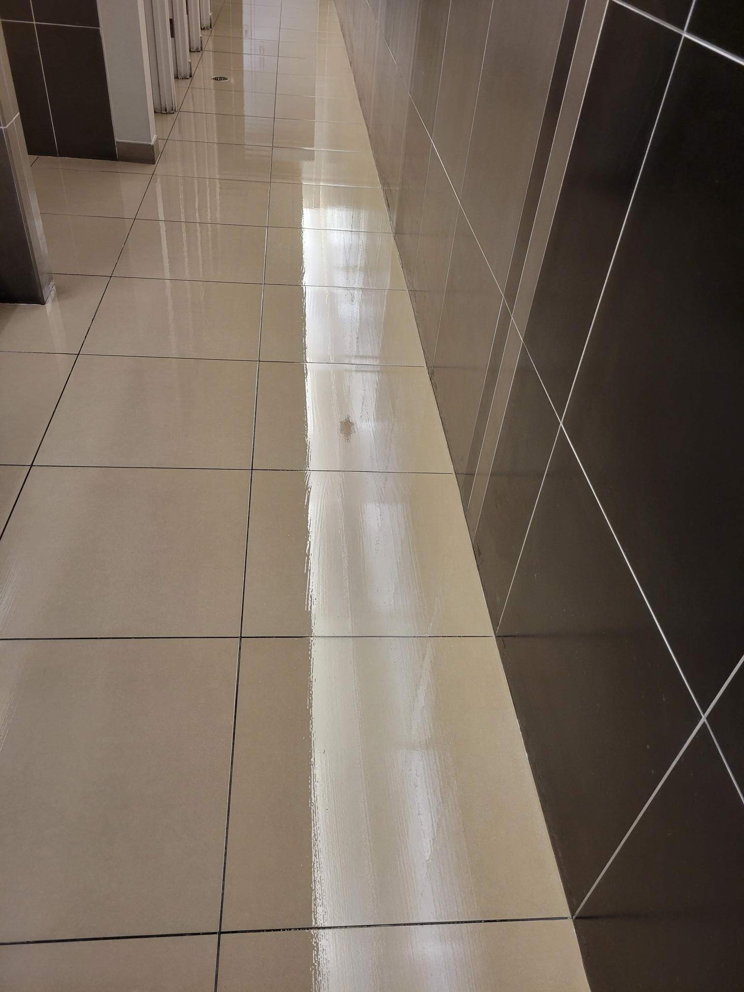 SaniGlaze Removal and reconditioning using CareGuard by Corporate Care