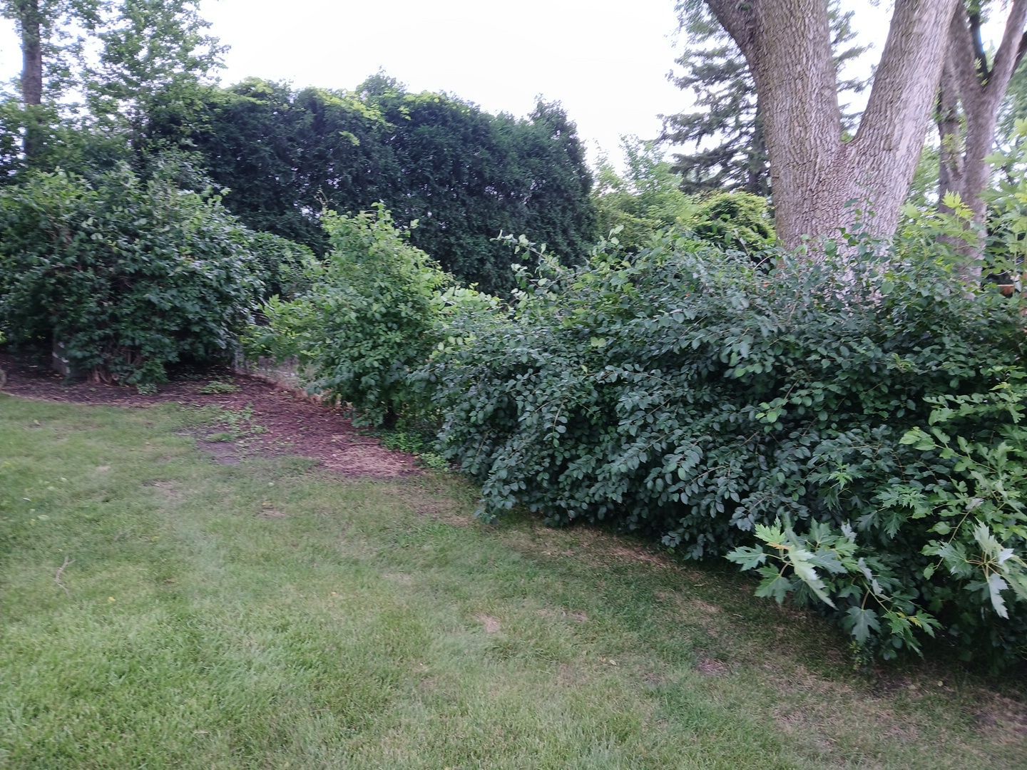 Andrew L. - Arlington Heights, IL by A&N