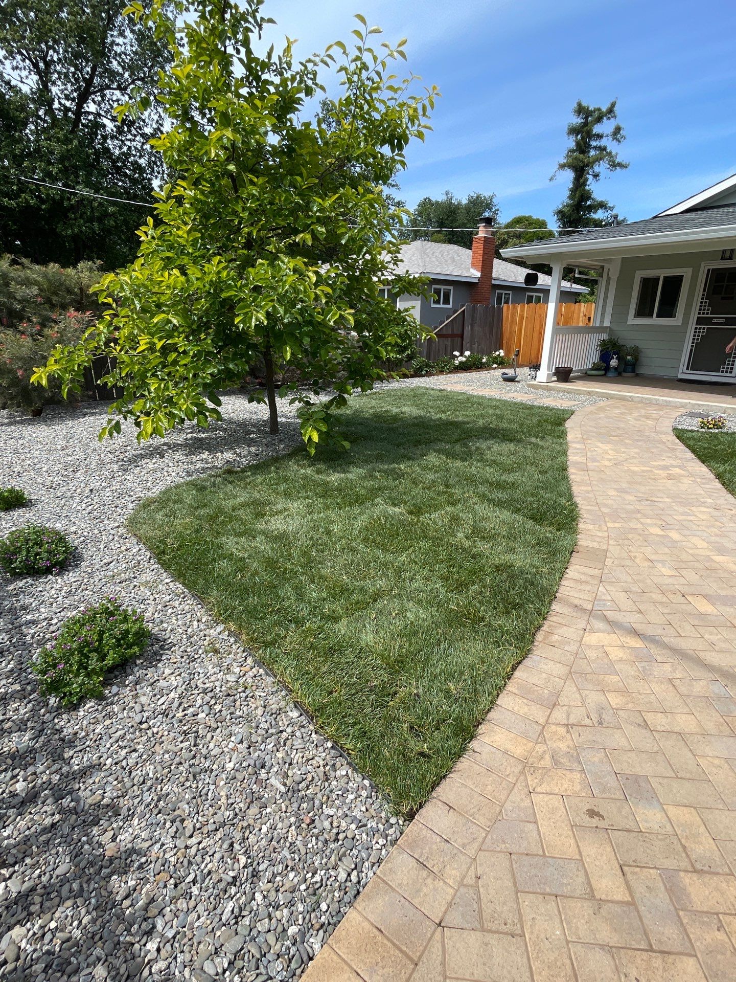 Project in Chico by A - G Sod Farms