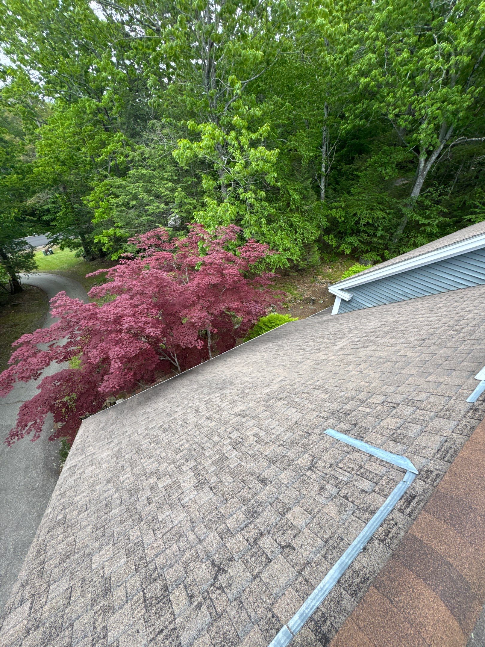 Newfields, NH Roof Replacement Near Inland Acres Town Forest with Owens Corning Slatestone Shingles and Velux Skylights by Compass exteriors