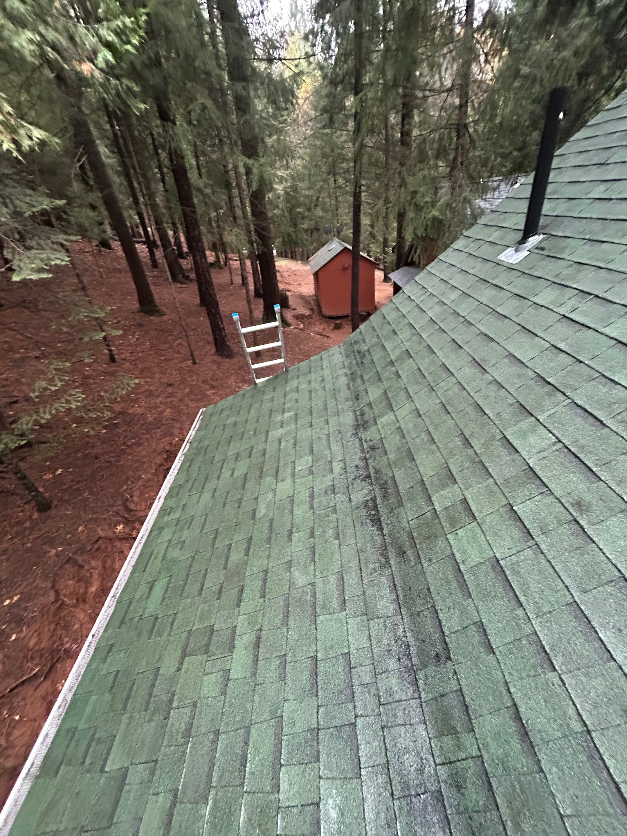 Roof Rejuvenation using Roof Maxx Treatment by Roof Maxx of Folsom