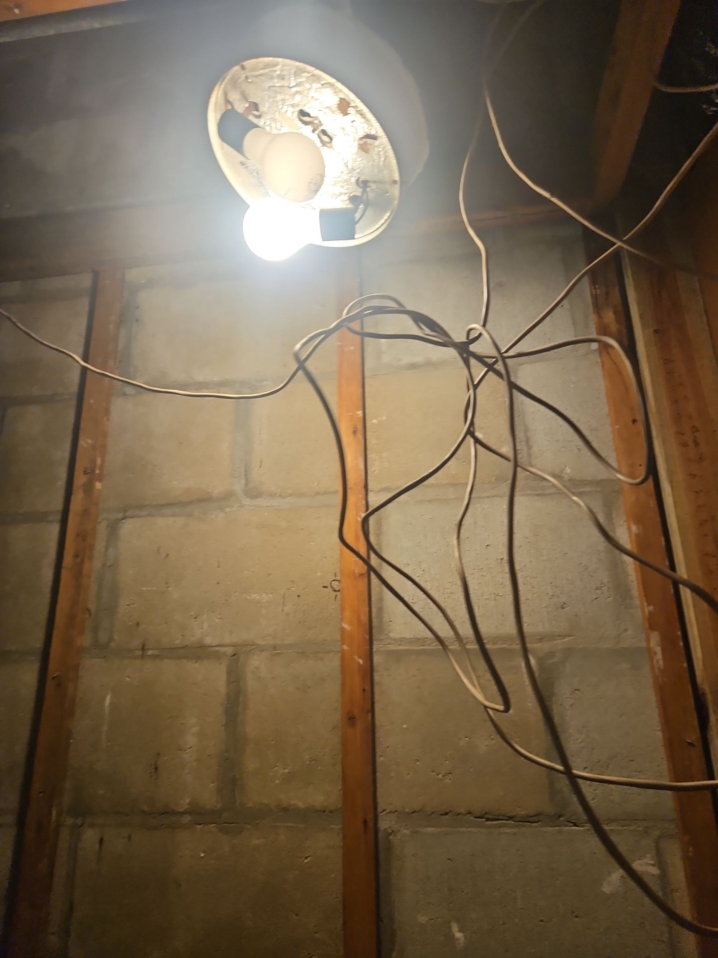 Water Damage Repair & Restoration Treatment by Ampm Restoration Services