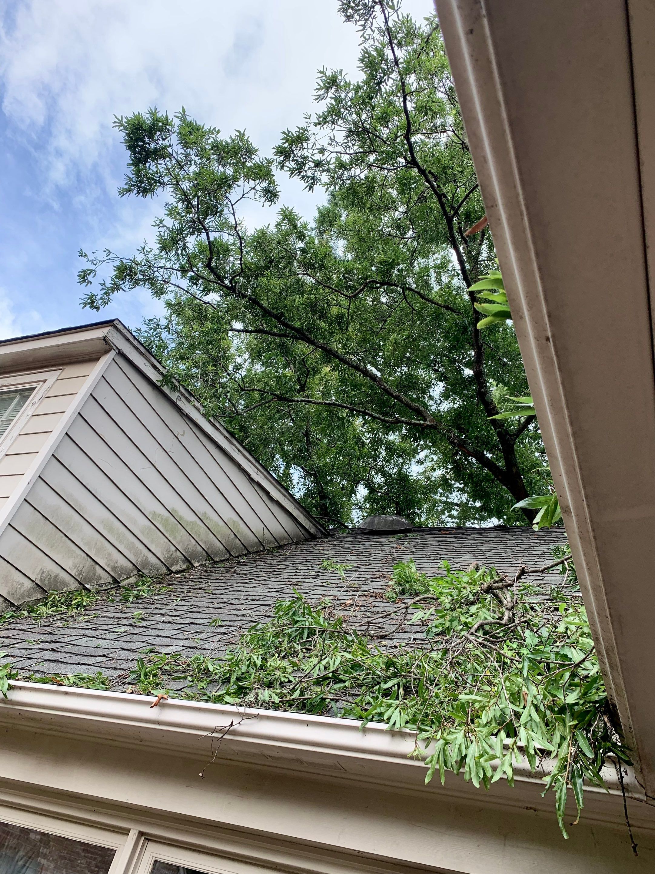 Full Roof Replacement with gutter upgrade after tree impact damage in East Memphis by Revival Roofing Services