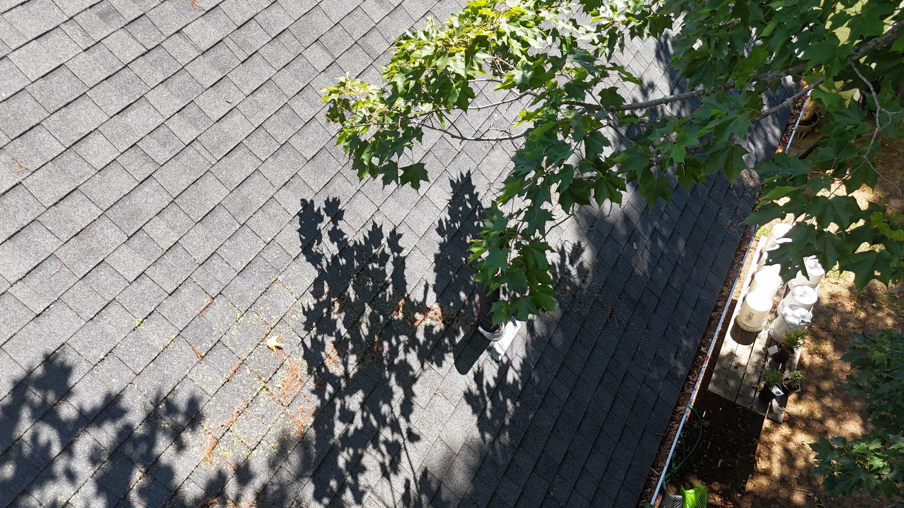 Roof Soft Wash & Gutter Cleaning – Maynard, MA by Mighty Dog Roofing of Greater Middlesex County