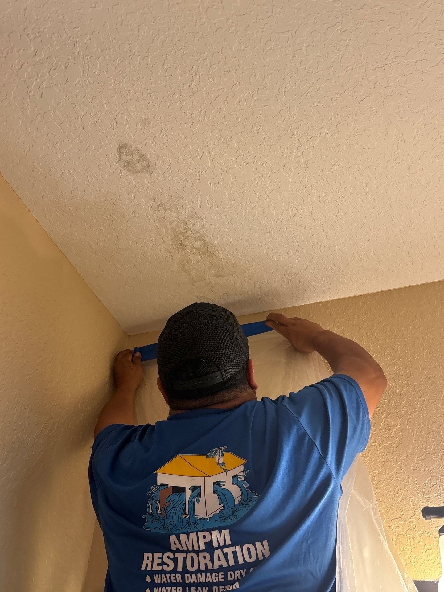 Mold Damage Removal by Ampm Restoration Services
