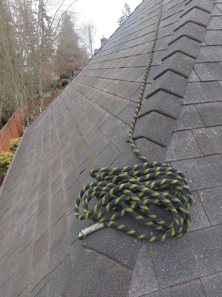 Roof Cleaning  using Moss Treatment  by BEST Roofing & Waterproofing