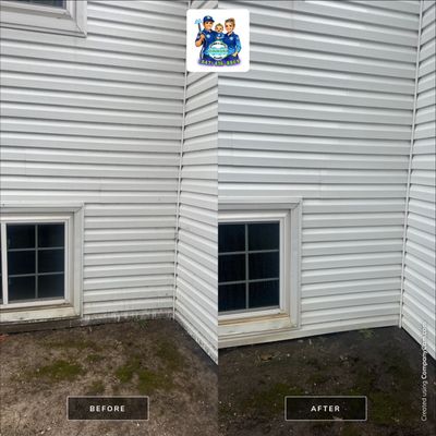 Project in Lake Villa