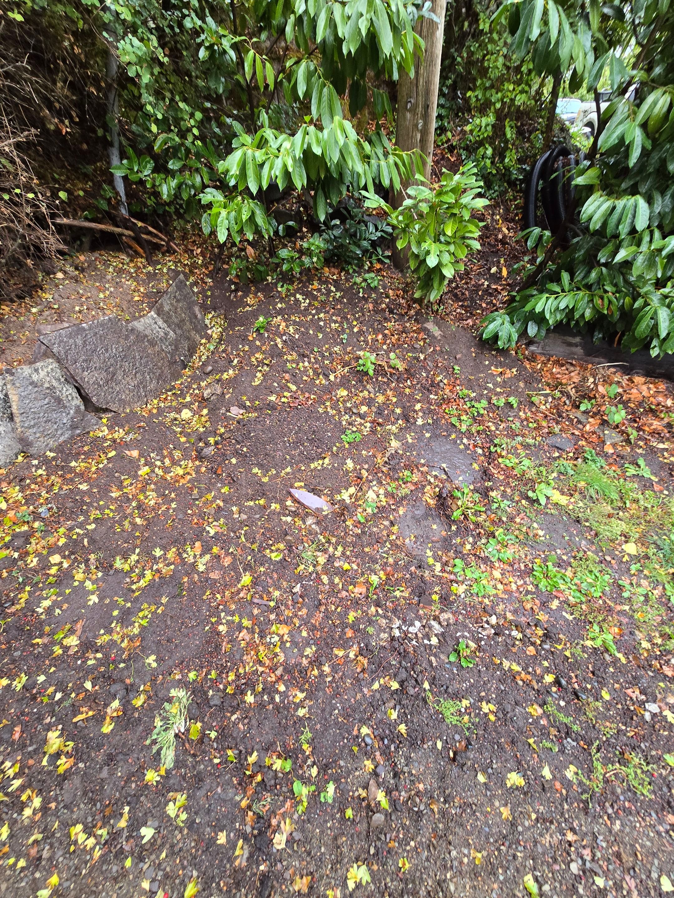 Asphalt Driveway Installation | Seattle  by Jireh Asphalt & Concrete Inc 