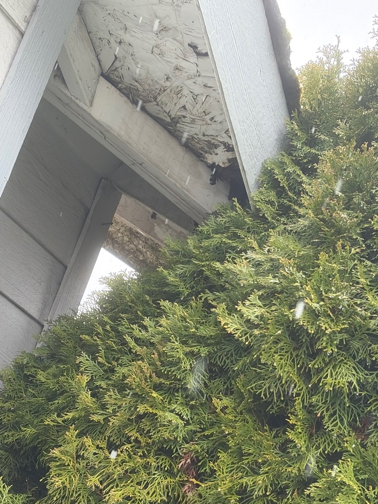 Roof in Lake Stevens by Connolly Construction Company