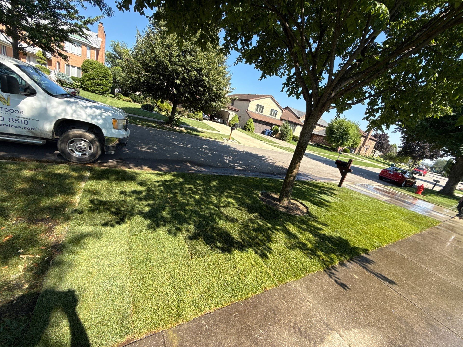 Al P. - Des Plaines, IL by A&N 
