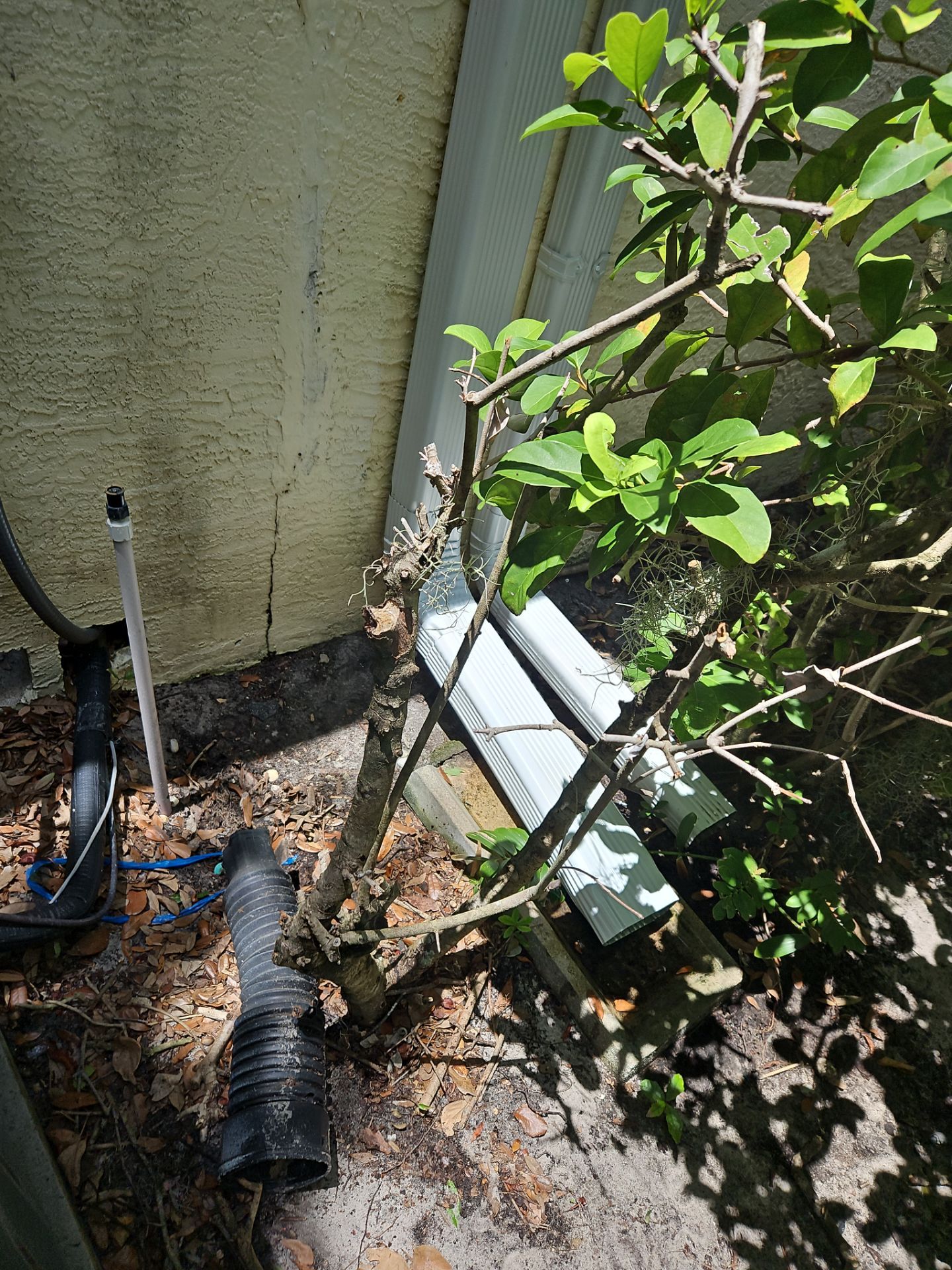 Gutter Cleaning Service and Gutter Guard in Fort Myers FL by Gutter Professors