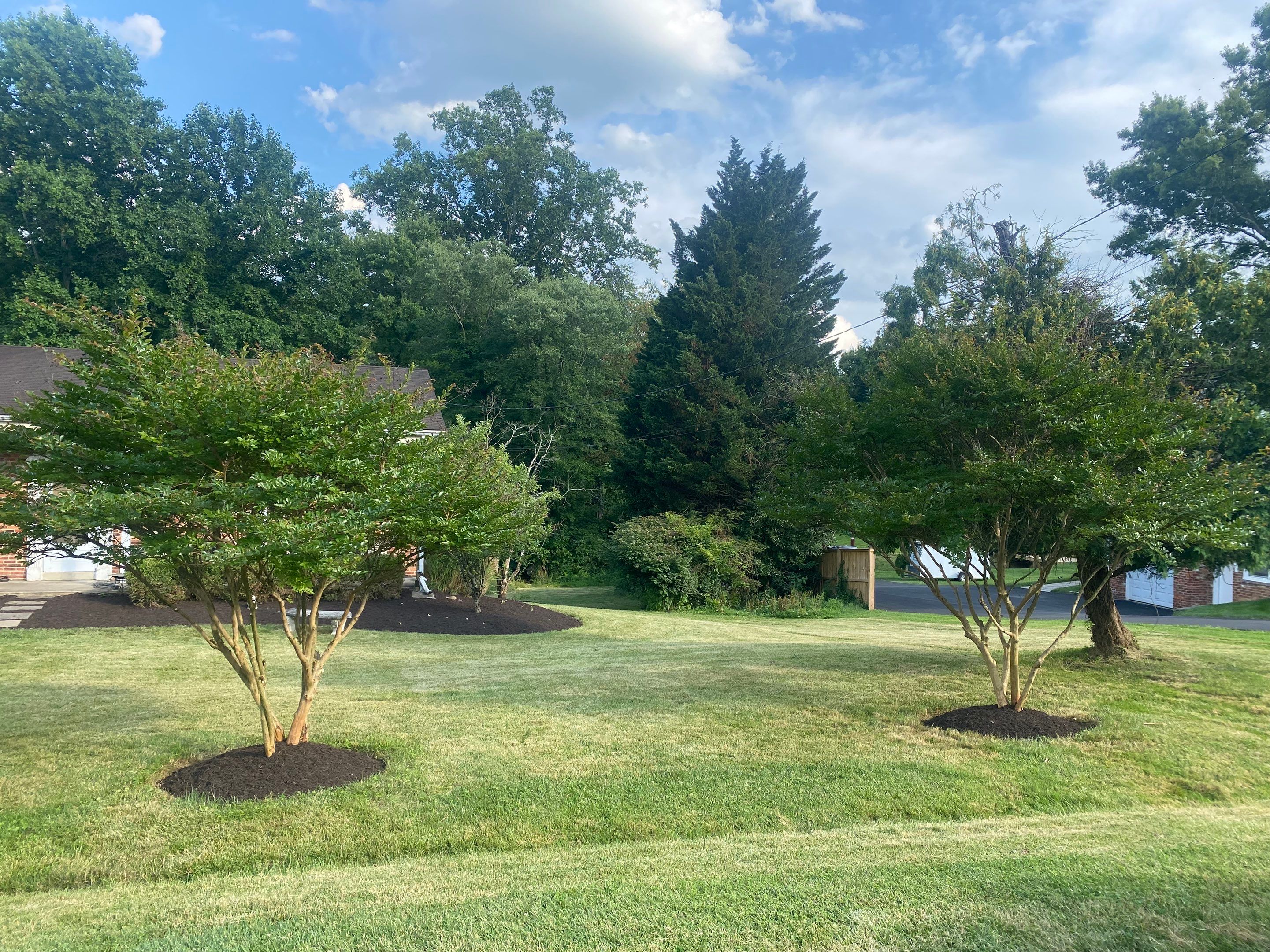 Landscape cleanup by The Smet Companies, LLC