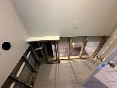 Basement Mold Remediation
