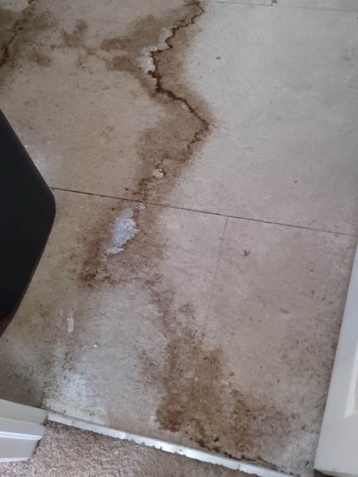 Mold Damage by Accountable Home Services