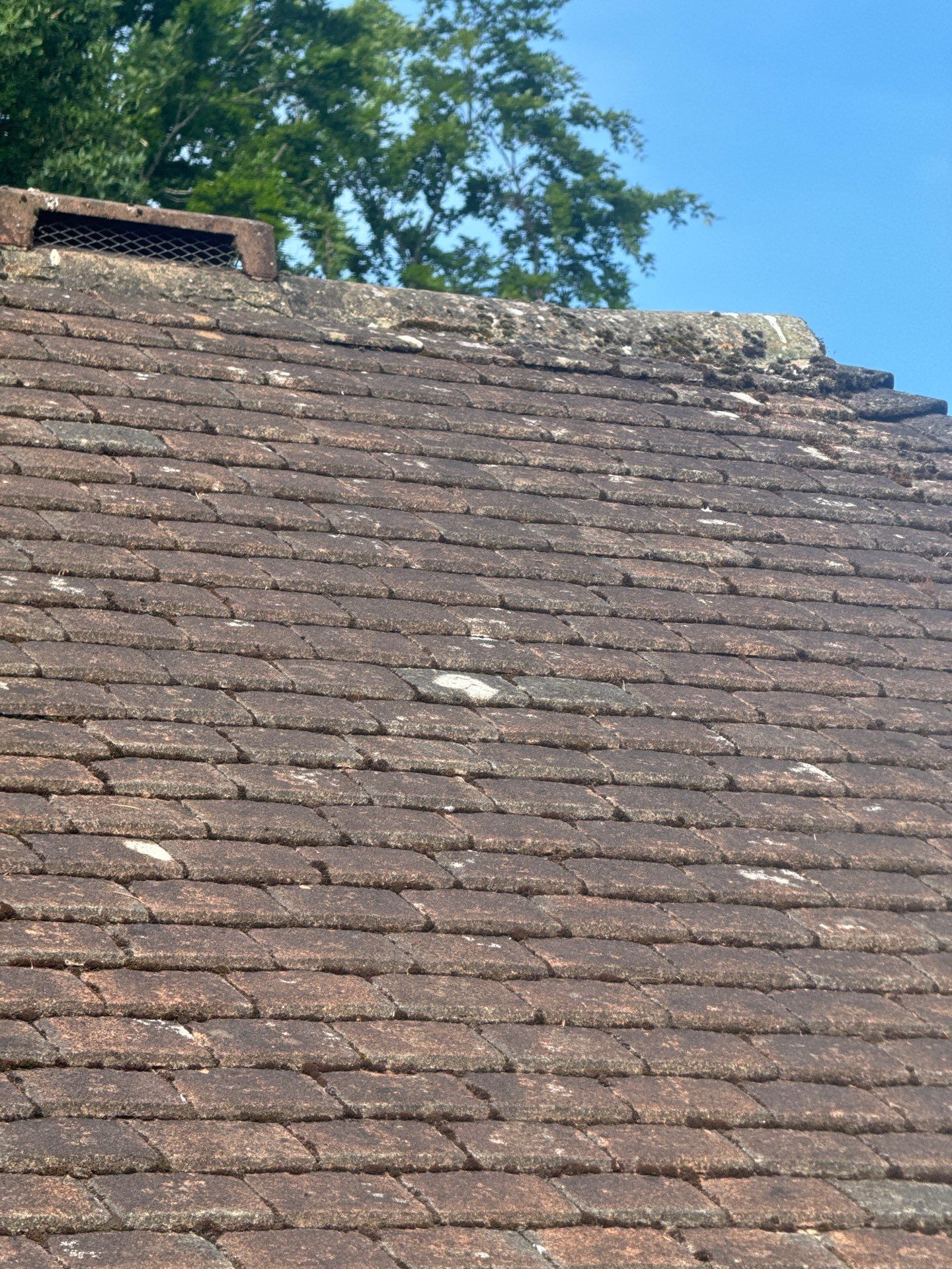 Roof Clean and Biocide Treatment using Honda 15lpm Low Pressure Washing Machine by Ges Exterior Cleaning ltd