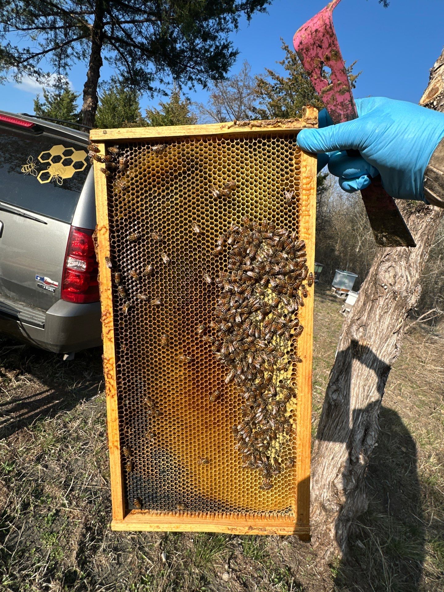 Rockwall County Ag. Exemption by Rockwall Honey Bee Company