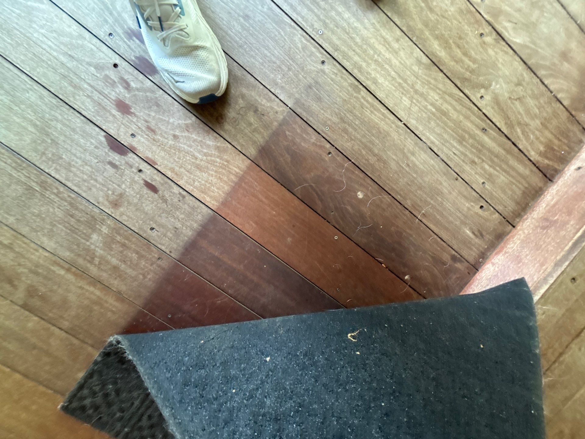 Exotic Wood using Wood Sealant by DuraSeal