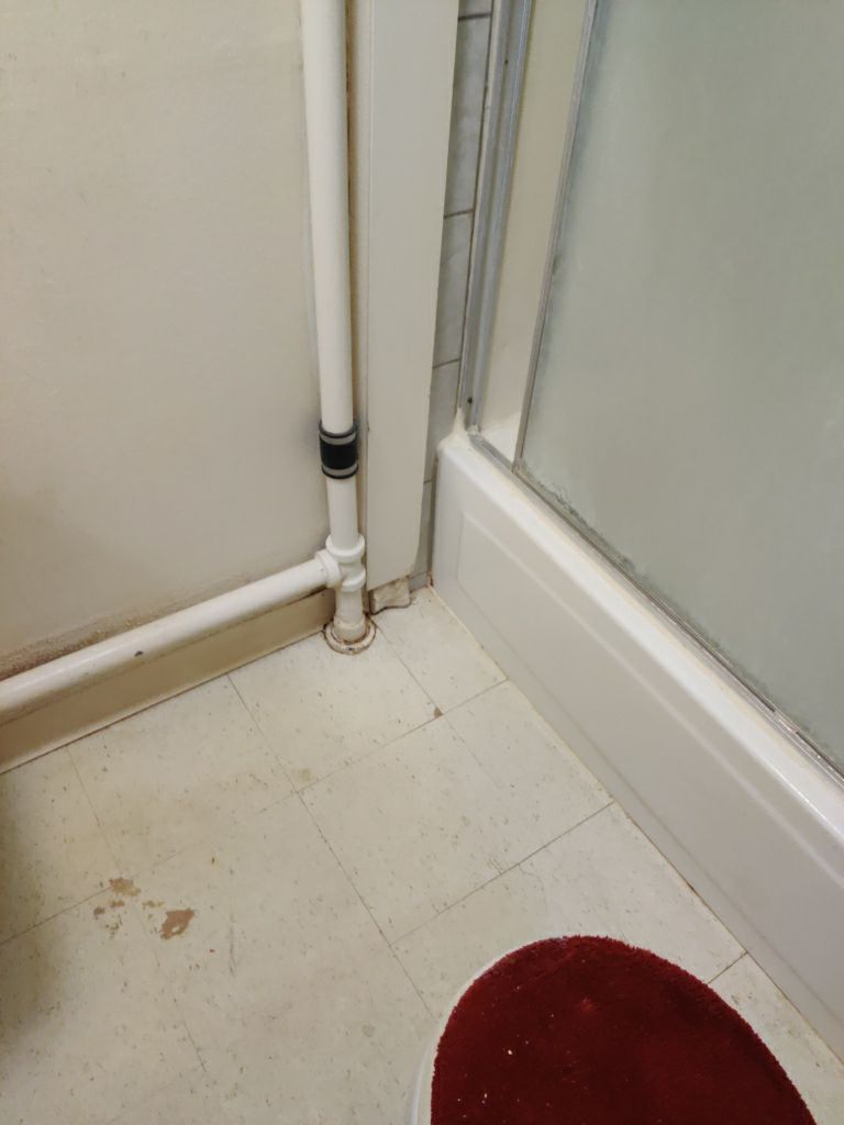 Mold Remediation in Basement by Accountable Home Services