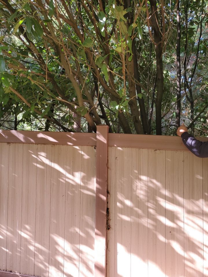 Tree Removal using Tree Removal by Mike Jones & Sons Tree Service LLC 