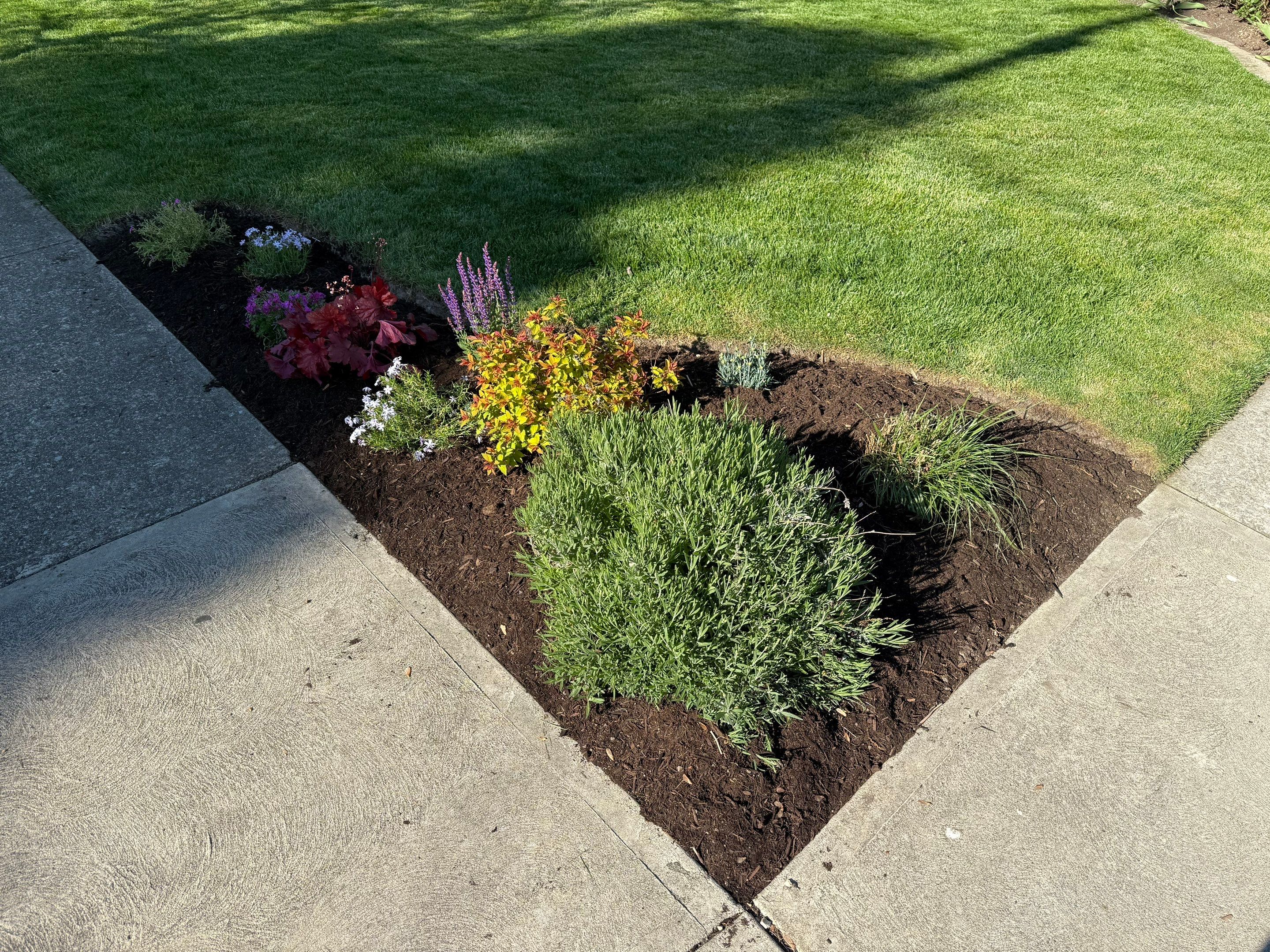 Elm Rose Home Project by Elm Rose Gardens