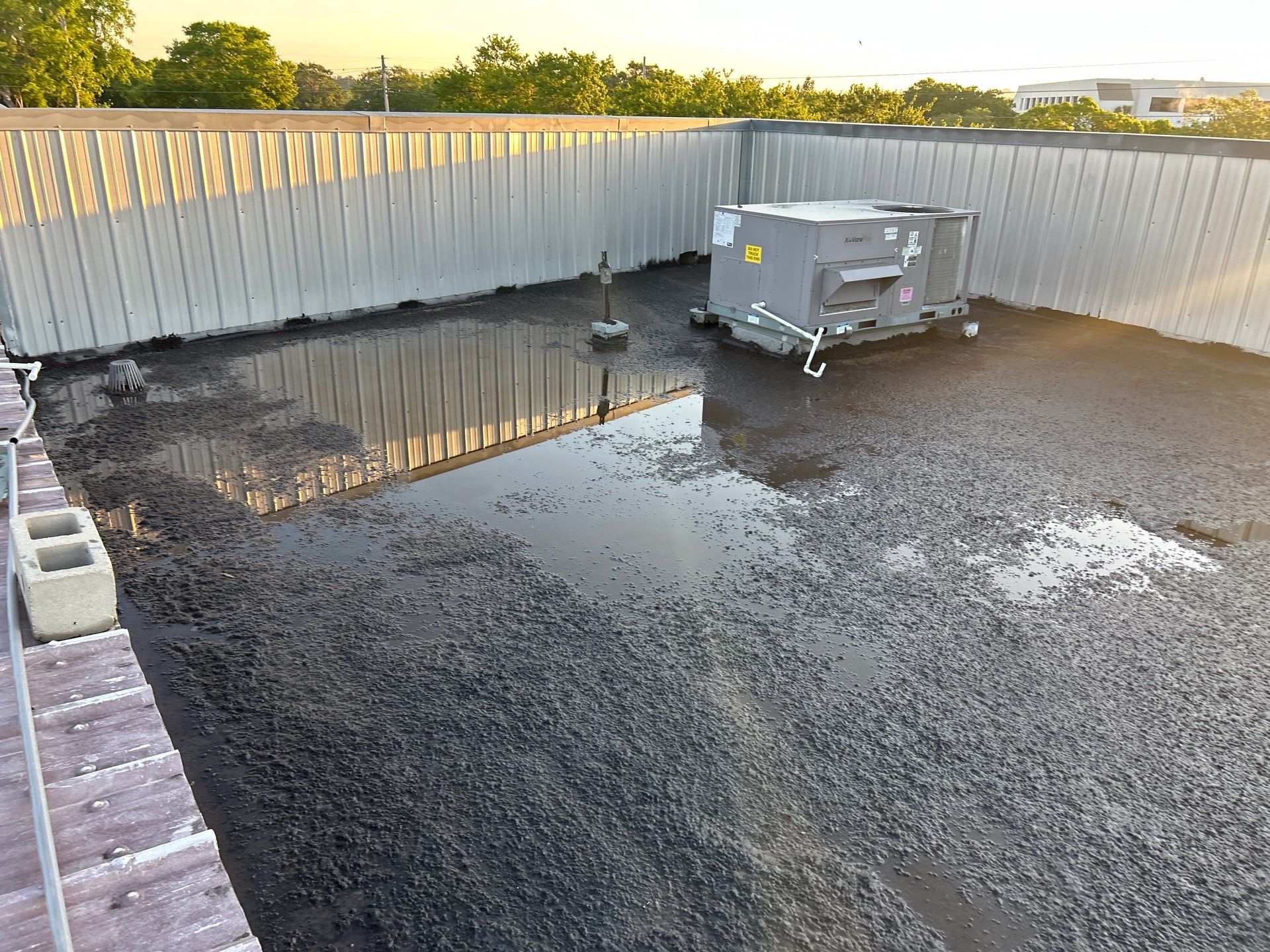 Bethel Temple of Jesus by Fiddlers Roofing