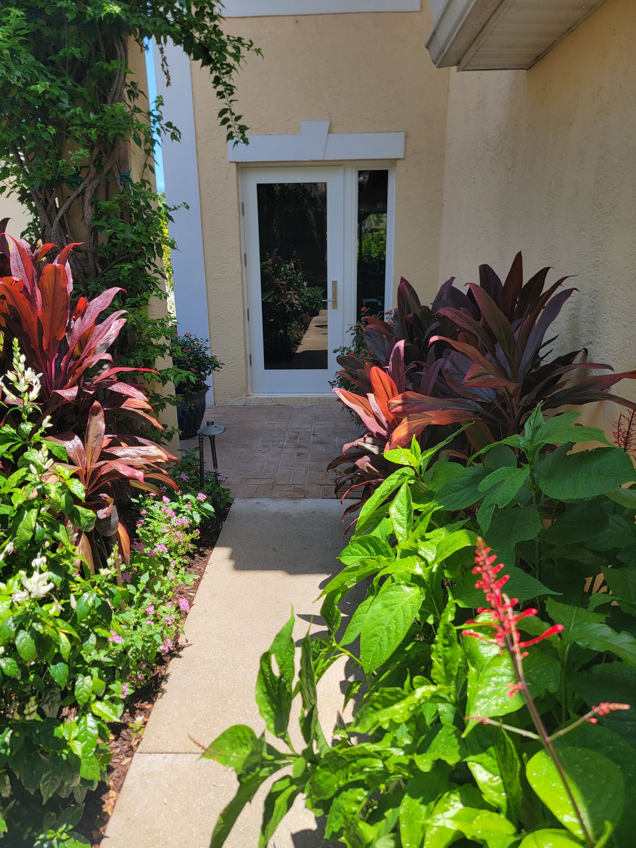 Project in Delray Beach by SIW Solutions