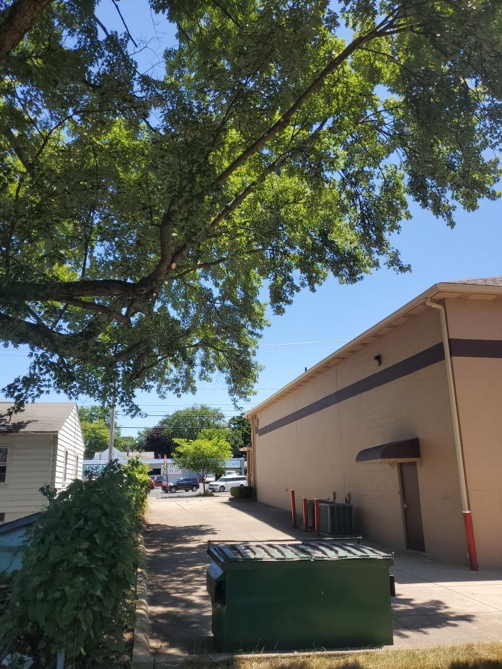 Tree Trimming using Tree Pruing by Mike Jones & Sons Tree Service LLC 