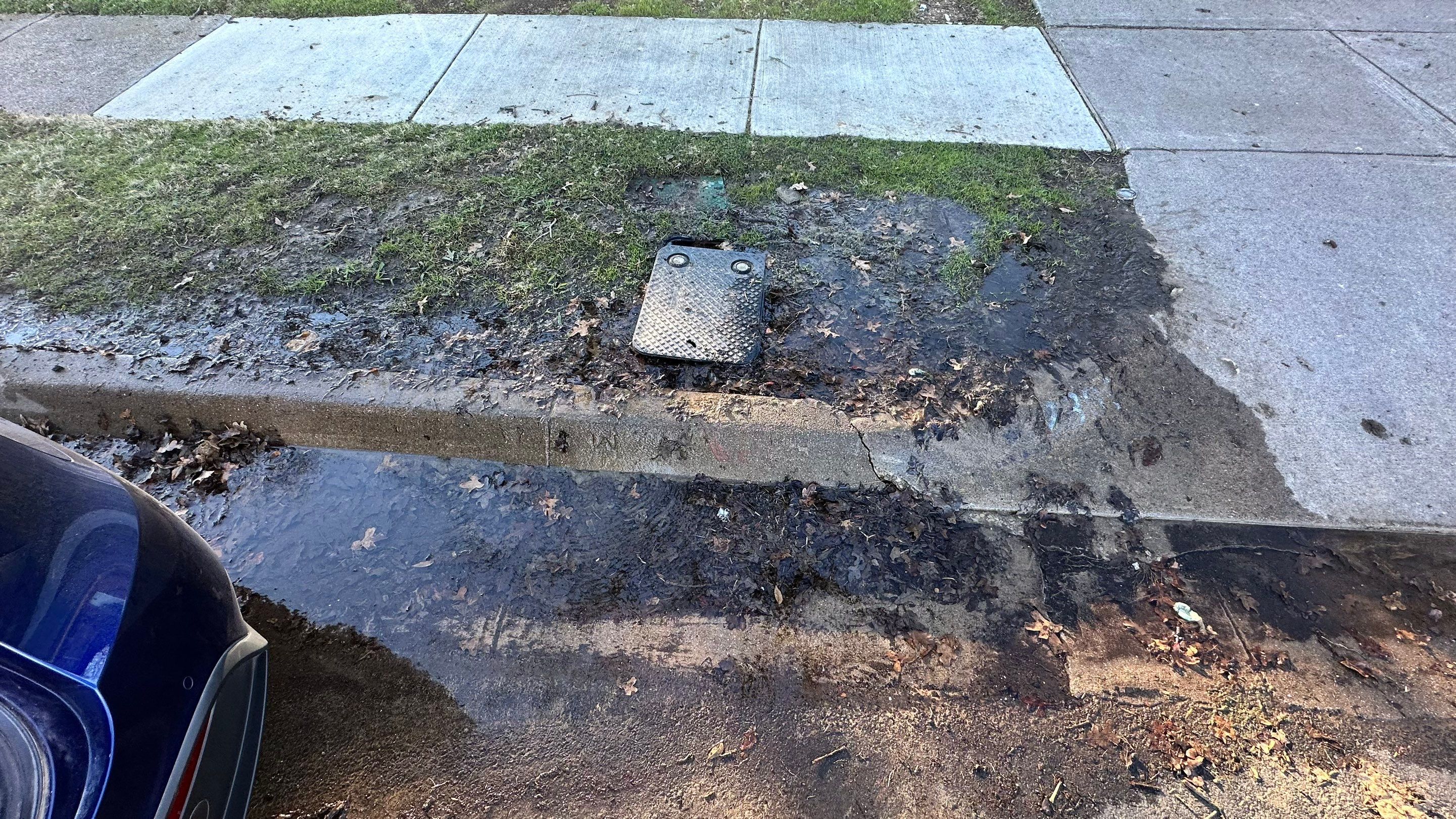 Sprinkler Double Check Repair by Get Stoked Renovations