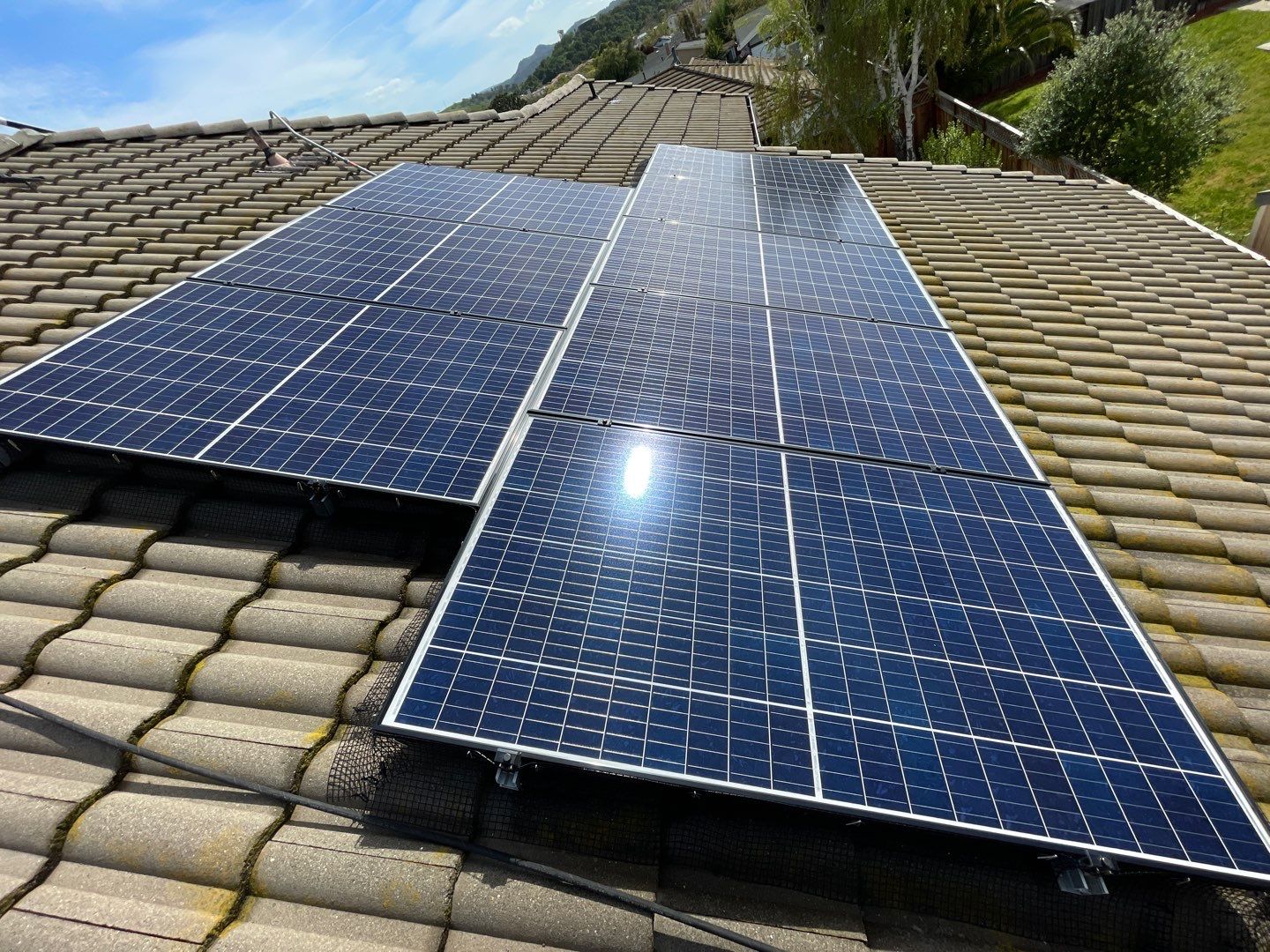 Solar Panel Bird Proofing-Morgan Hill by All One Solar Shine