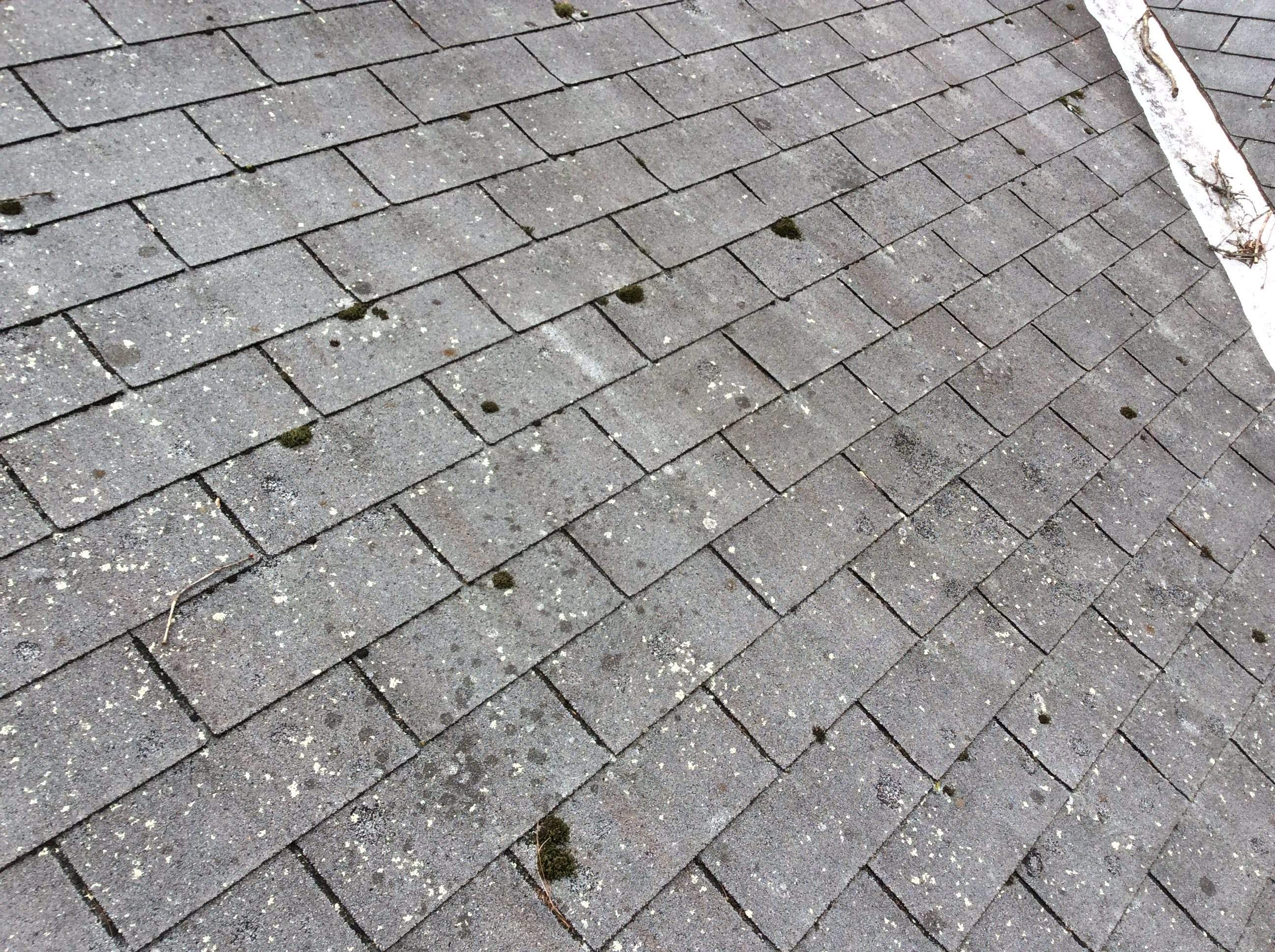Residential Roofing Installation  3 Tap Shingles by Alpha Design Services